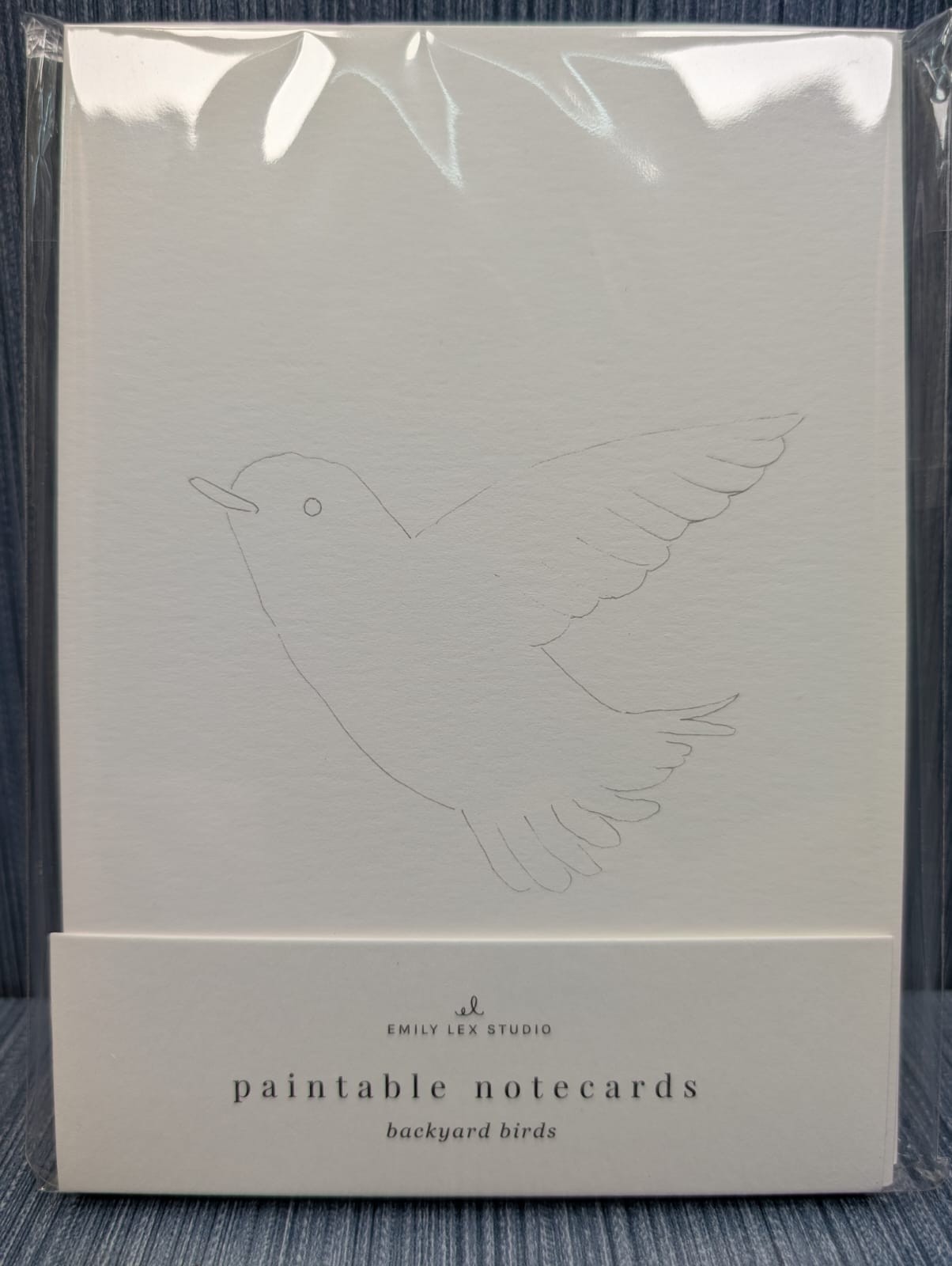 Set of 8 x Emily Lex Studio Paintable Watercolor Notecards 5"x7" Sketches Inc.