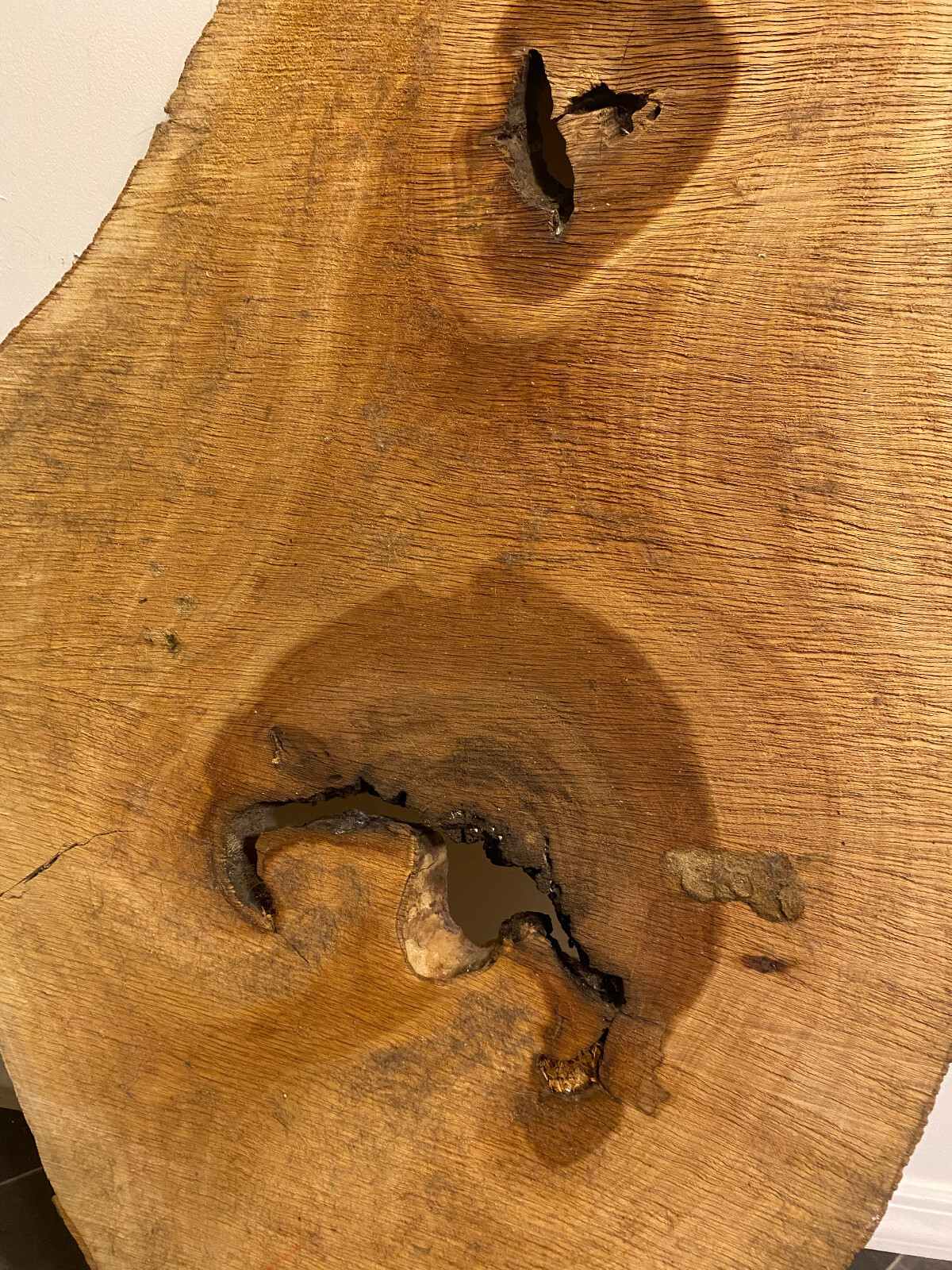 Large Stunning Live Edge Sycamore Slab 43" x 27"-13" x 1.75" Rustic Table top