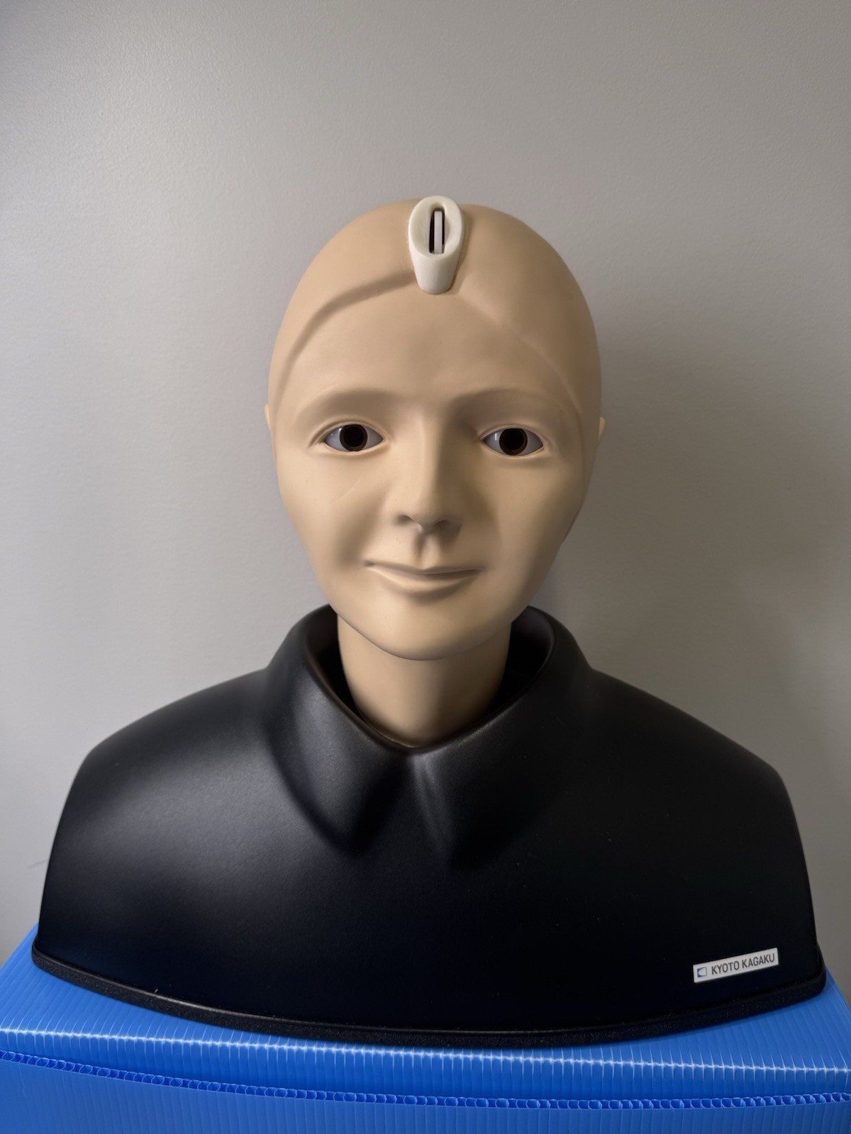 Kyoto Kagaku M82A EYE Examination Simulator Head (2 Steps) -Pls Read Description