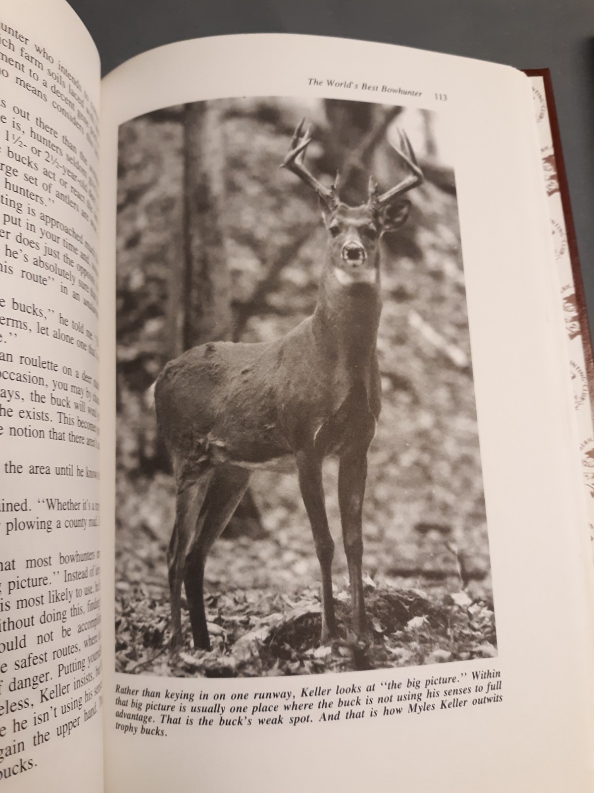 For Big Bucks Only & Hunting Whitetails North American Hunting Club Books 86' 89