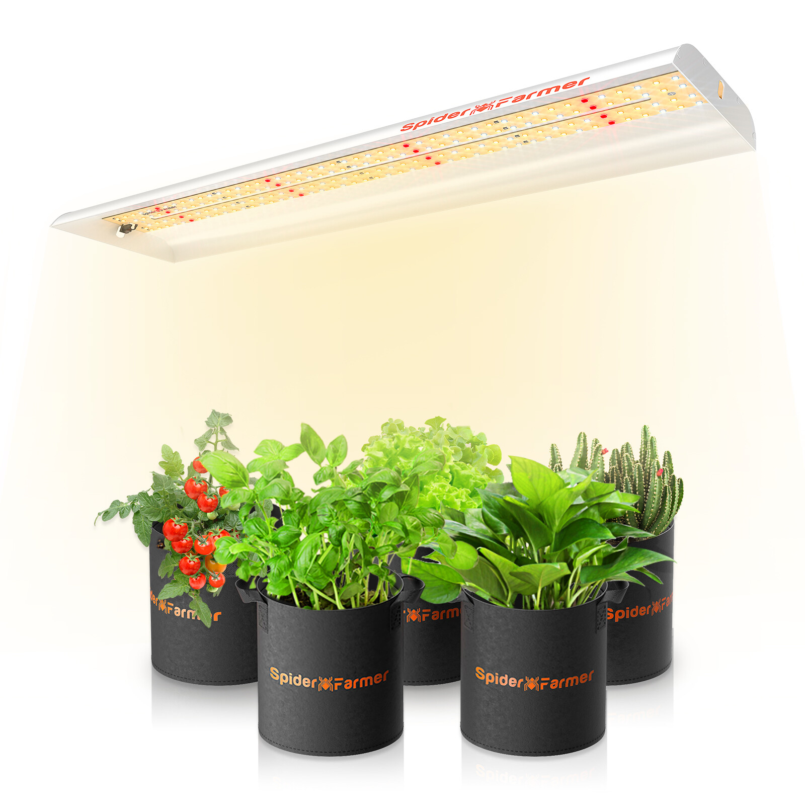 Spider Farmer SF1000 2000 4000 7000 LED Grow Light Full Spectrum for Grow Tent