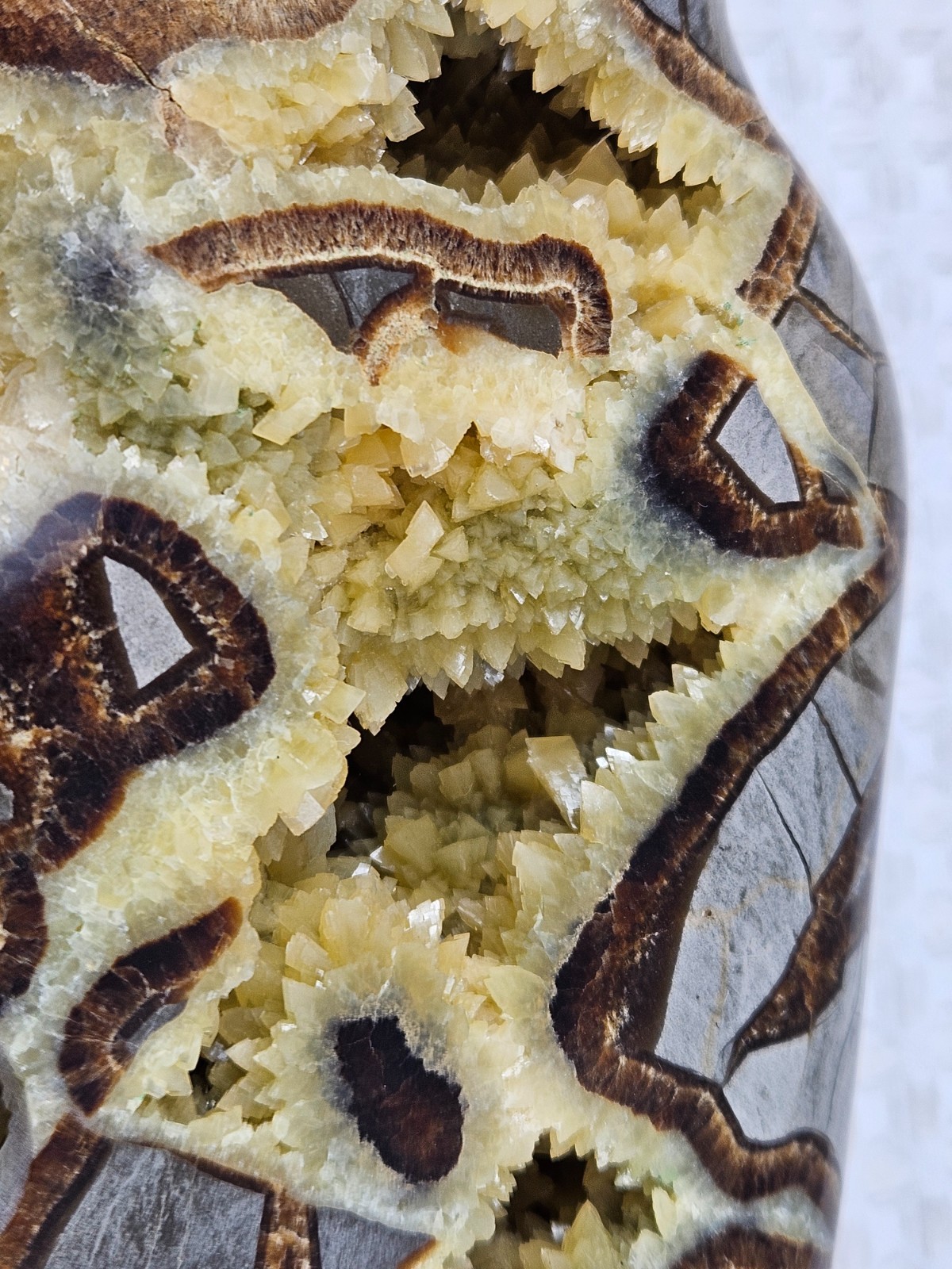 Septarian Nodule Geode Buffalo Bison Carved Natural Stone Crystal Zuni Decor 6"