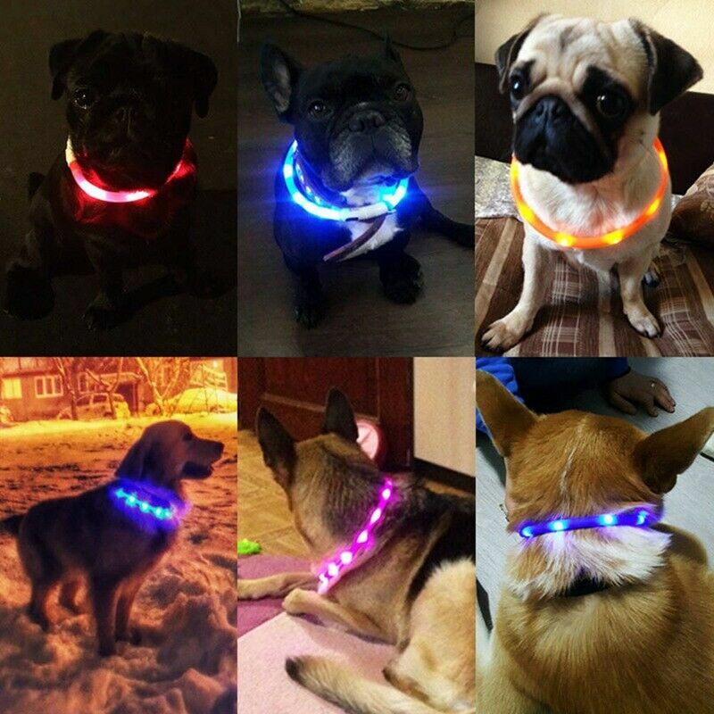 SOFT SILICONE RECHARGEABLE COLLAR glow light-UP LED for Dog Cat Pet Night Safety