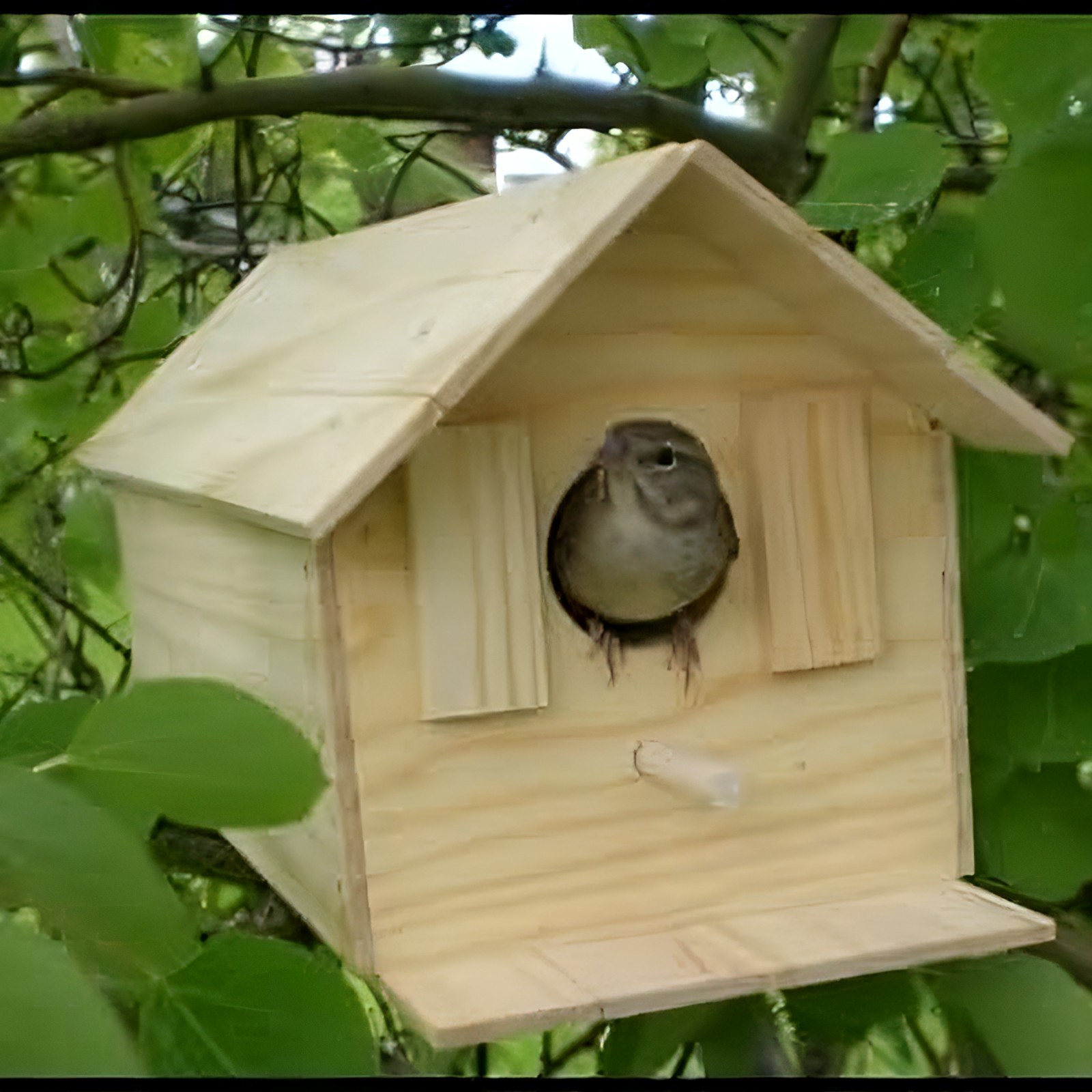 Wood Bird House Kit Complete With Nails, 1 Count, Build it Yourself