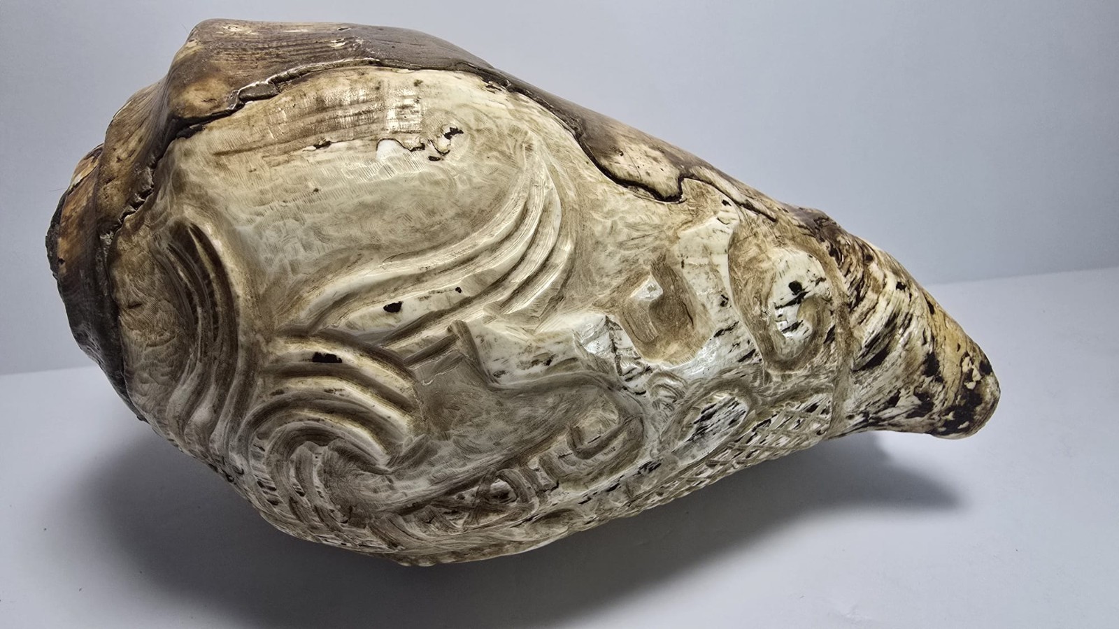 Precolumbian Mayan Snail With Ceremonial Glyph 700 AD 1200 AD