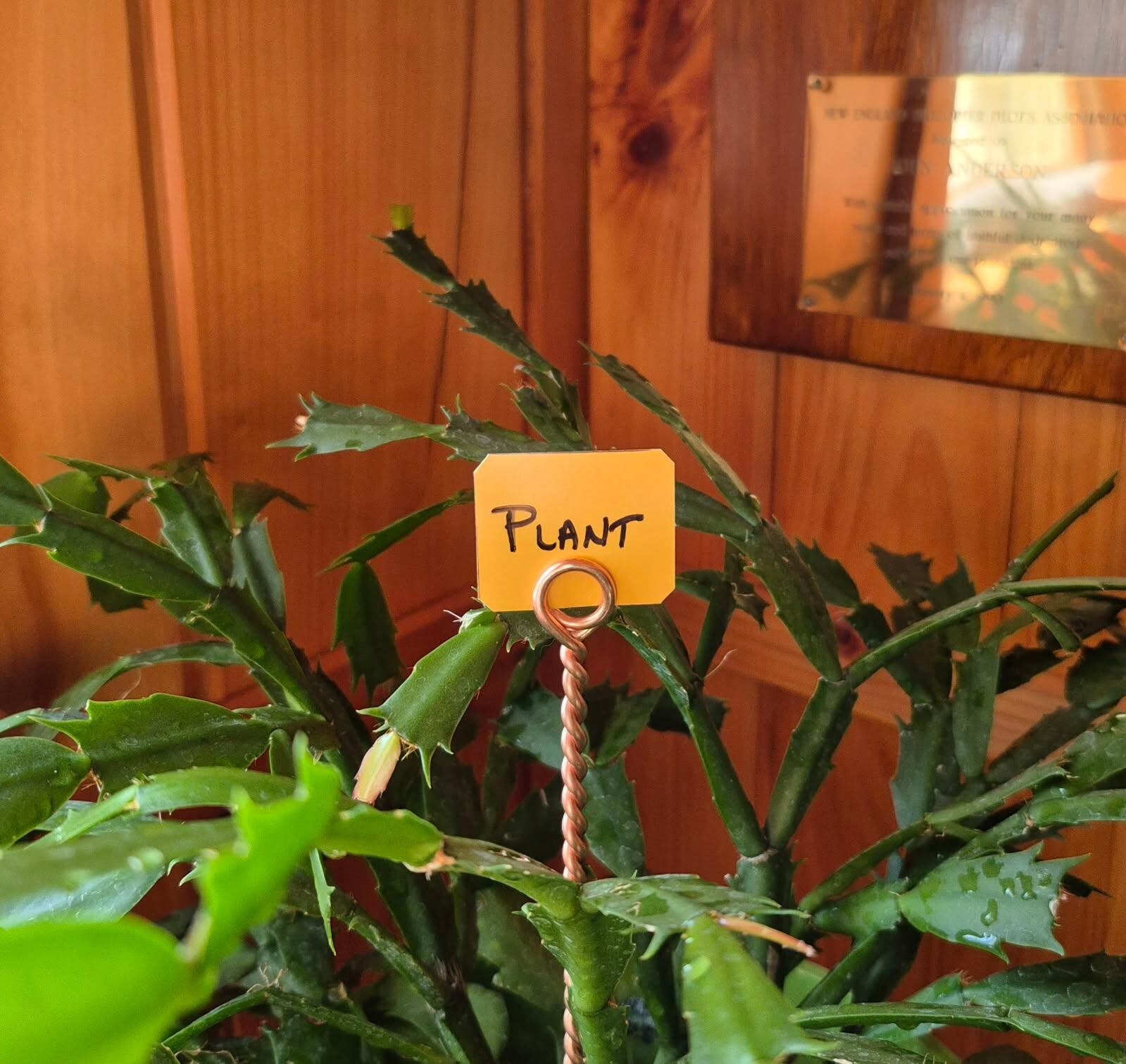 (12) 5/32" x 10" Copper Garden Stakes, Electroculture Twisted Wire, Plant ID