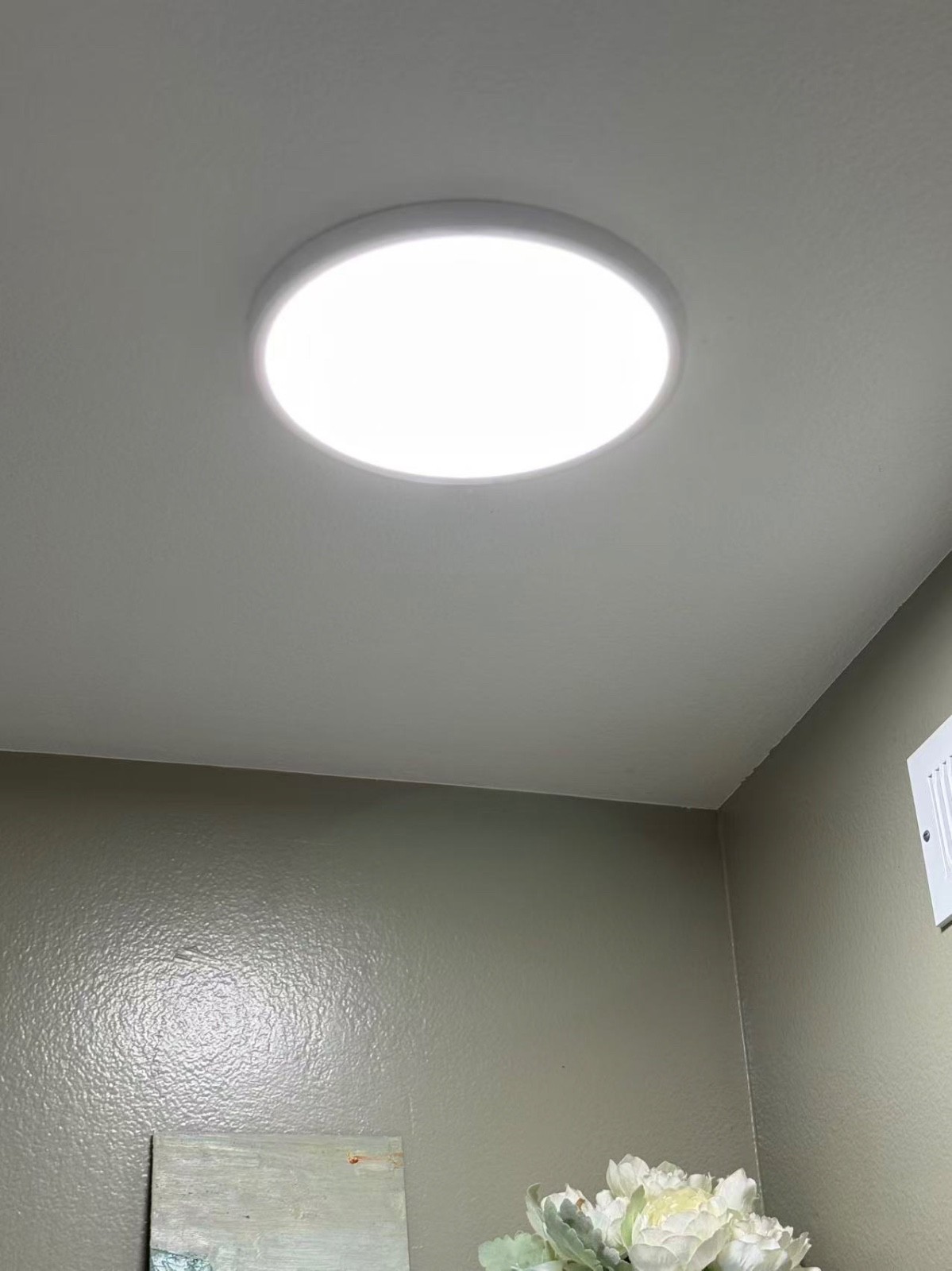 2Pcs/PK 12 Inch LED Flush Mount Ceiling Light 24W 5Color Temperature Adjustable