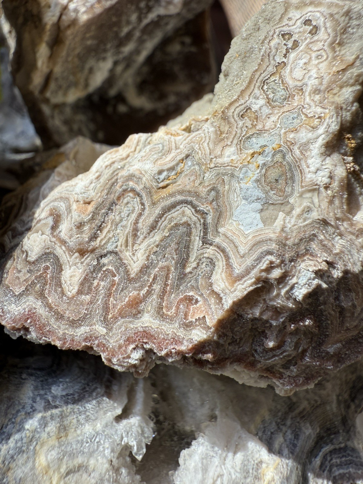 Crazy Lace Agate, Rough Lace Agate From Summerville Ga 10lbs Lot