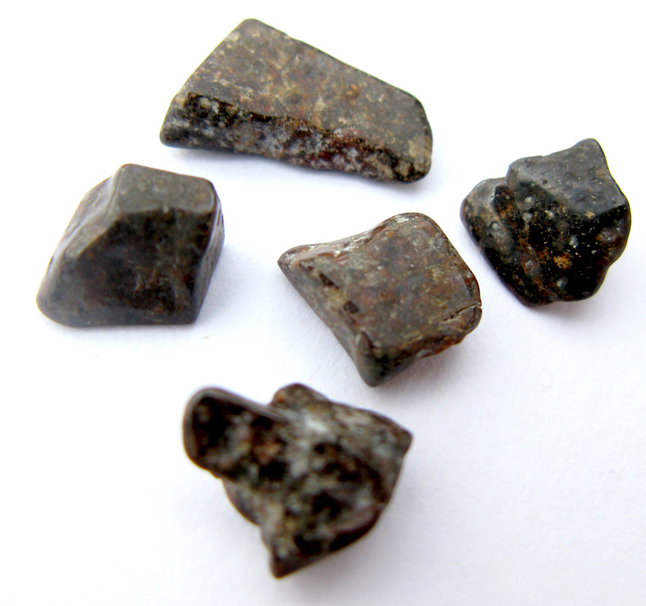 NWA 869 Meteorite Chondrite Stone Specimen 5 PCS LOT Rock Authentic Guaranteed