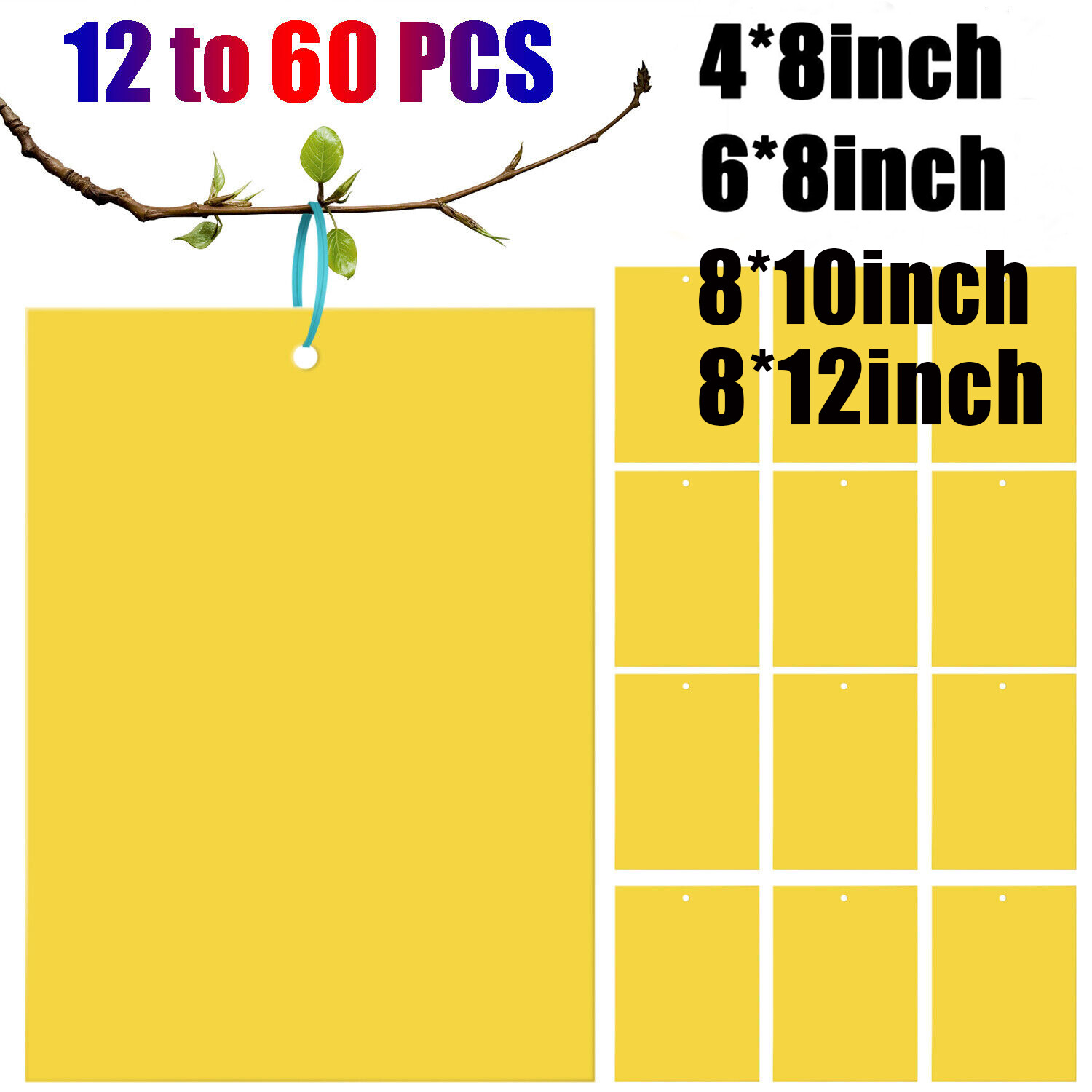 60 PCS Sticky Fly Traps- Gnat&Insect Catcher with Hanging Ropes|Strong Glue Trap