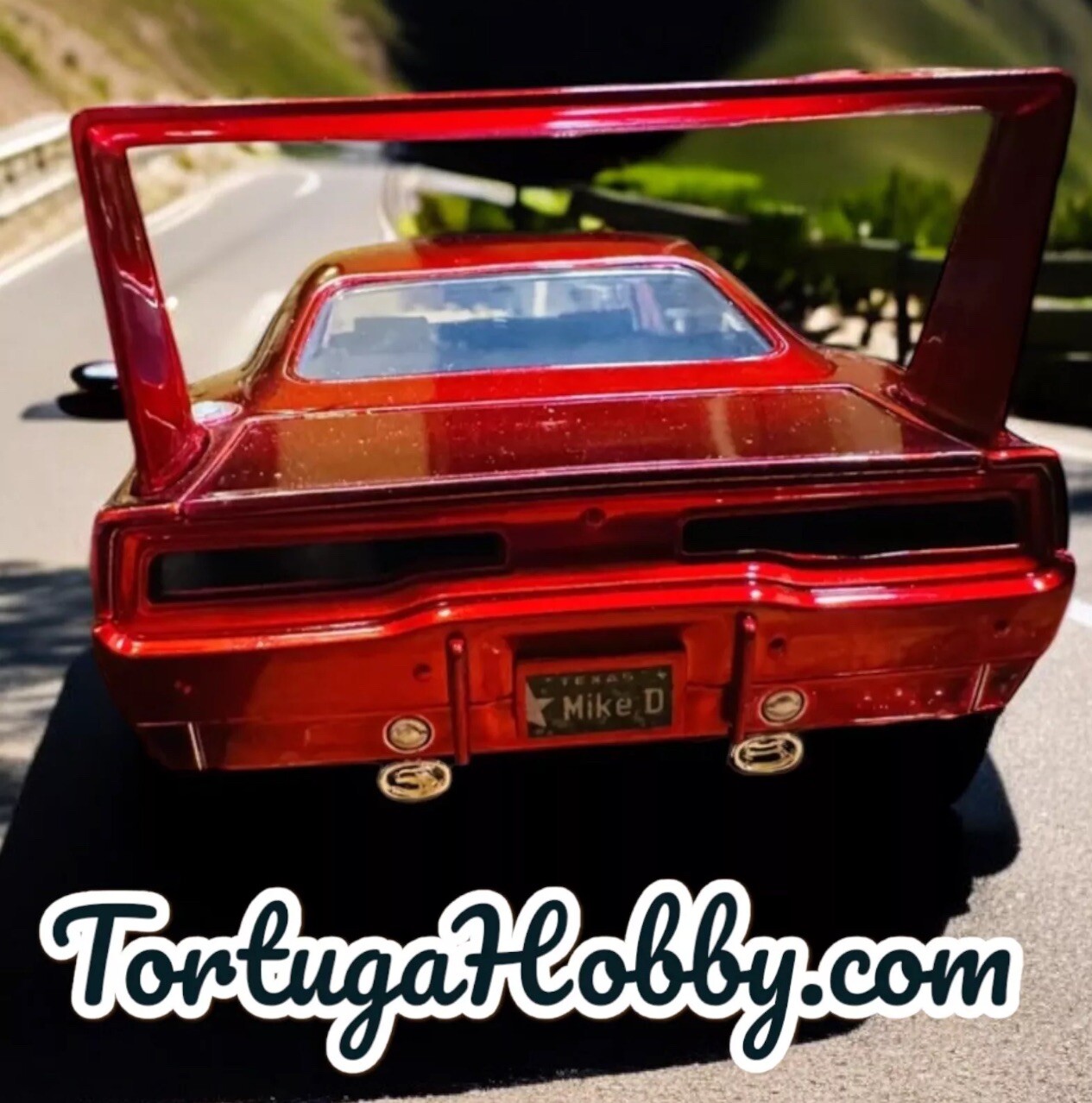 1:18 1:24 1:64 All 3 Scales In One - Custom Personalized License Plates Decals.