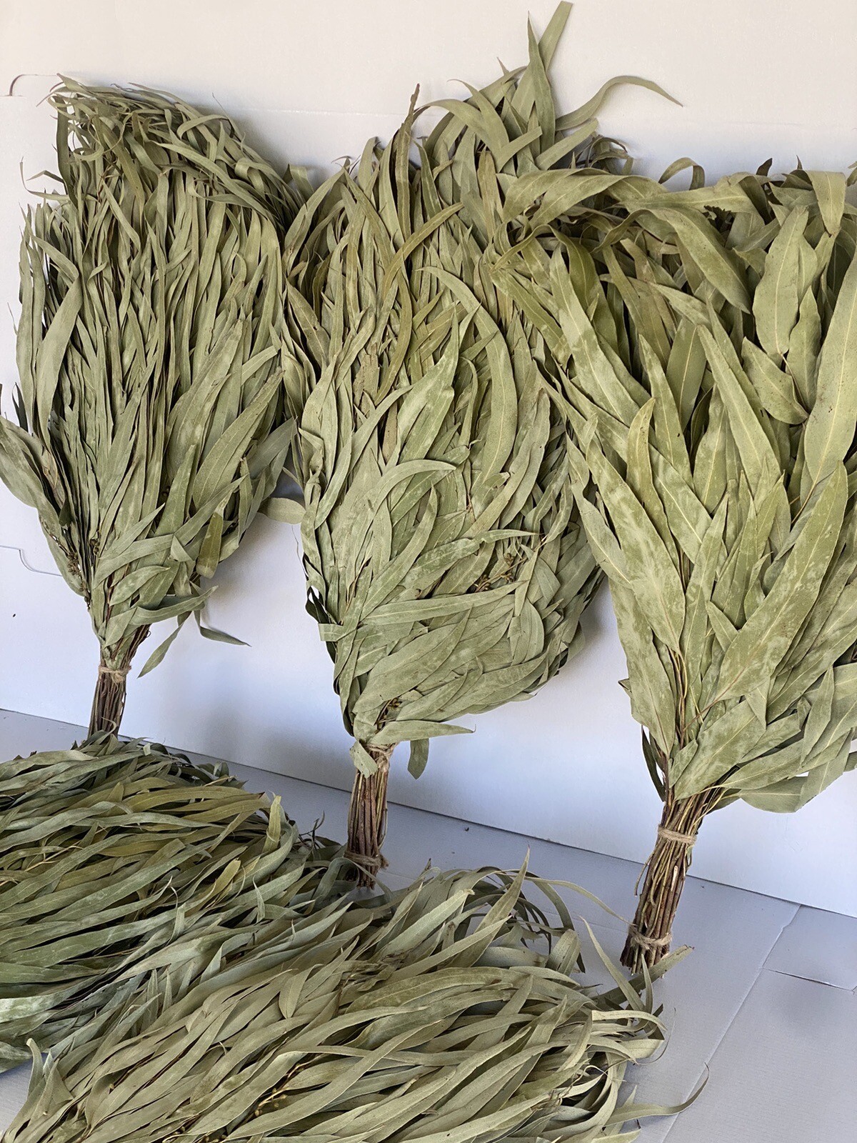 24 Birch brooms NEW SEASON 2025 sauna banya venik Eiche whisks eco Ukrainian