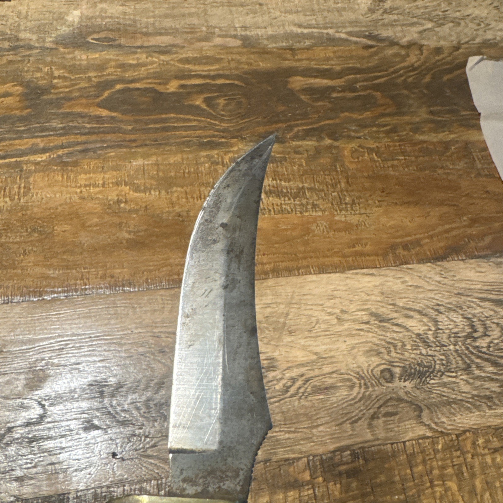 Schrade USA 498 Fixed Blade Hunting Knife