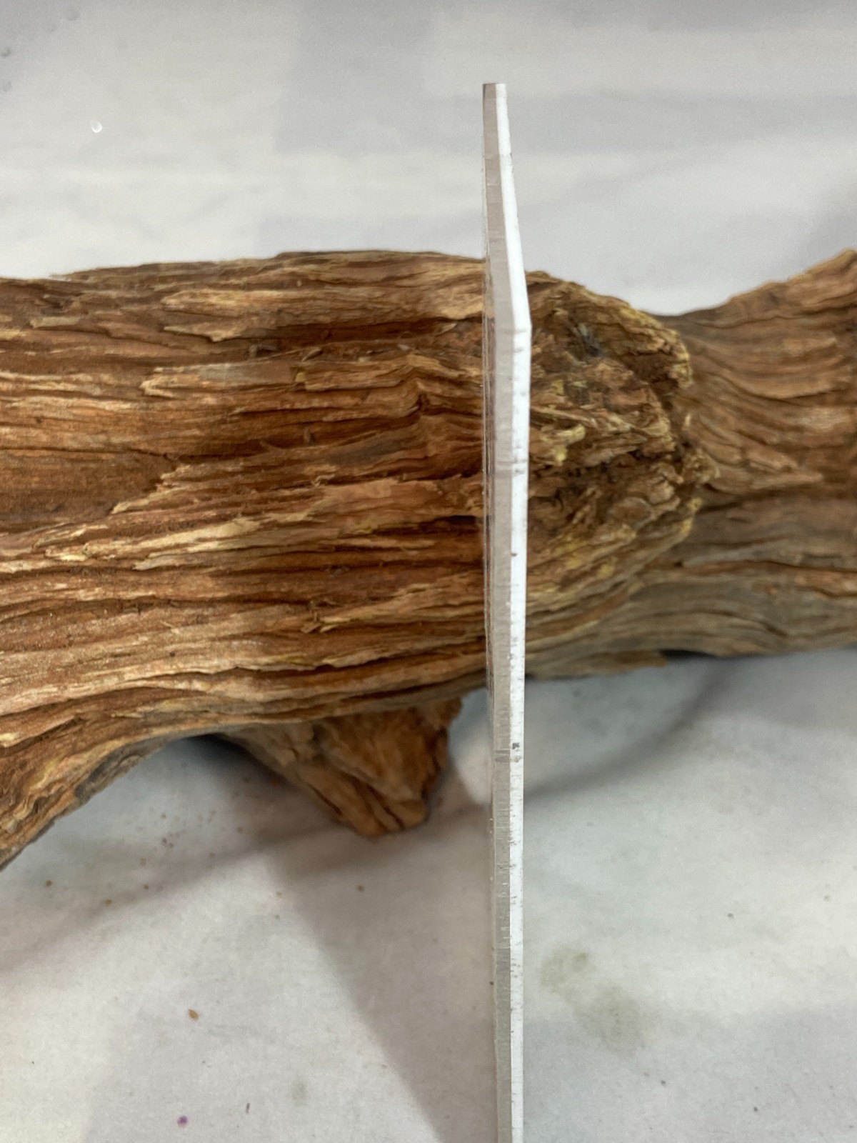 Paua Abalone MOP White Knife Scales 1/8" (Enough for 1/2 knives) (194)