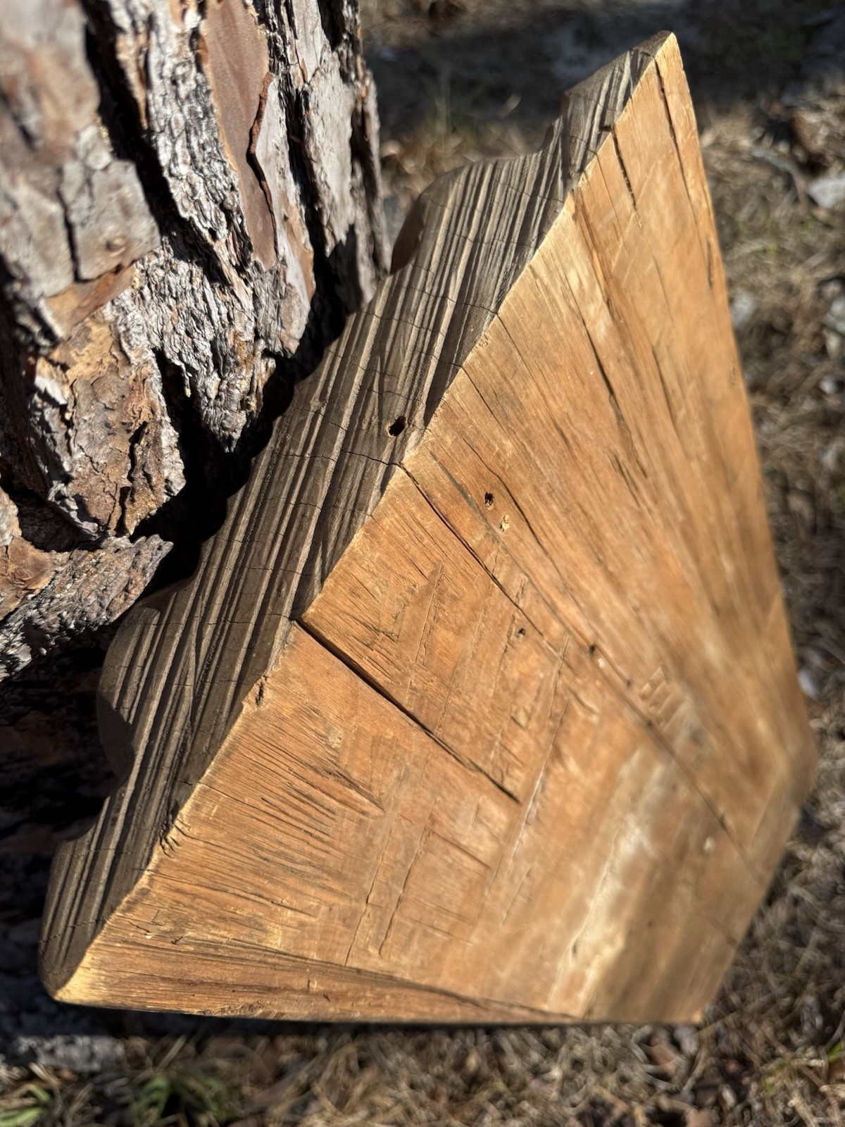 Northwest Coast OLD Large Carved Cedar Panel