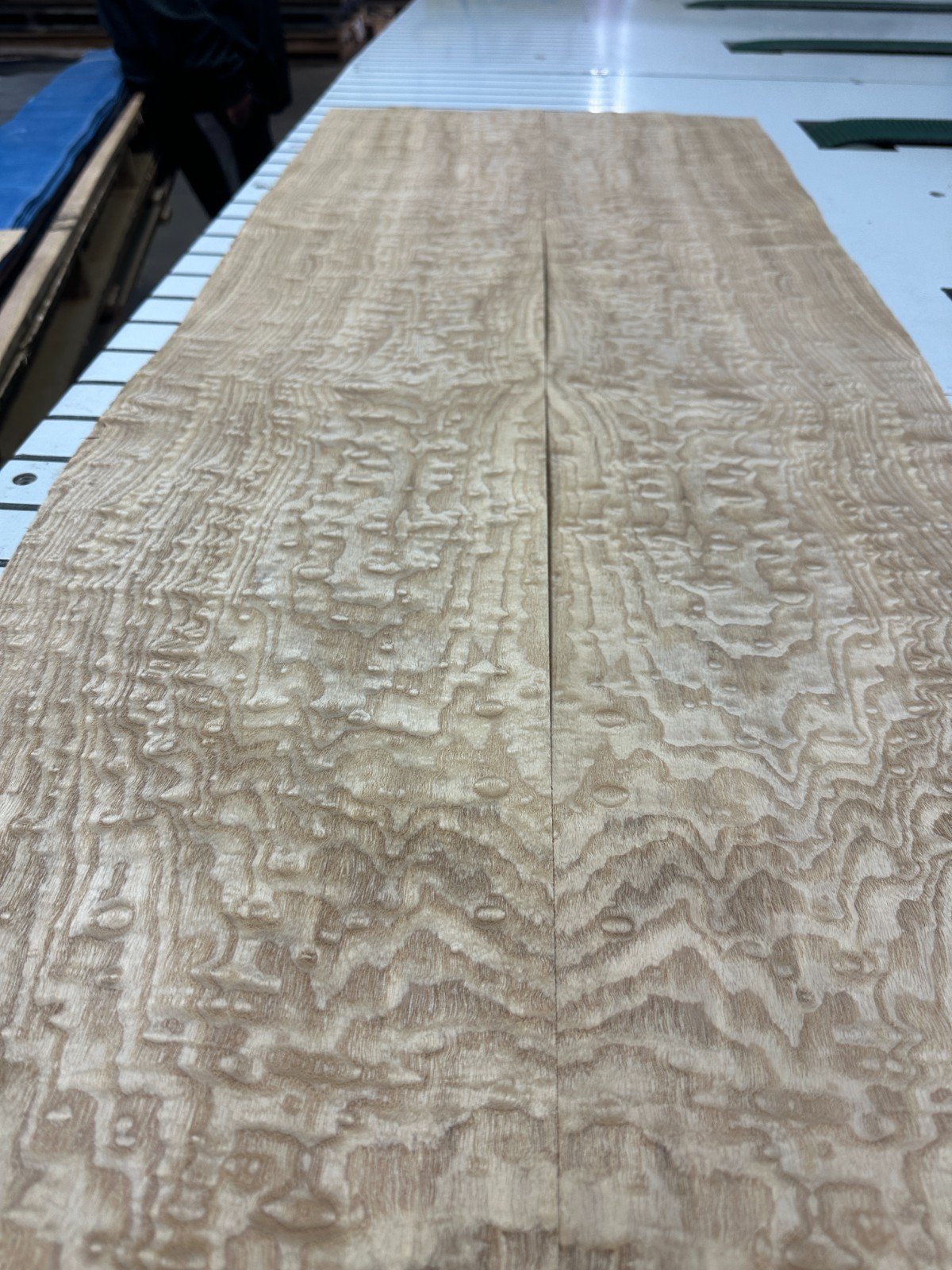 Tamo Ash Raw Wood Veneer 2 sheets 50'' x 10'' 319U