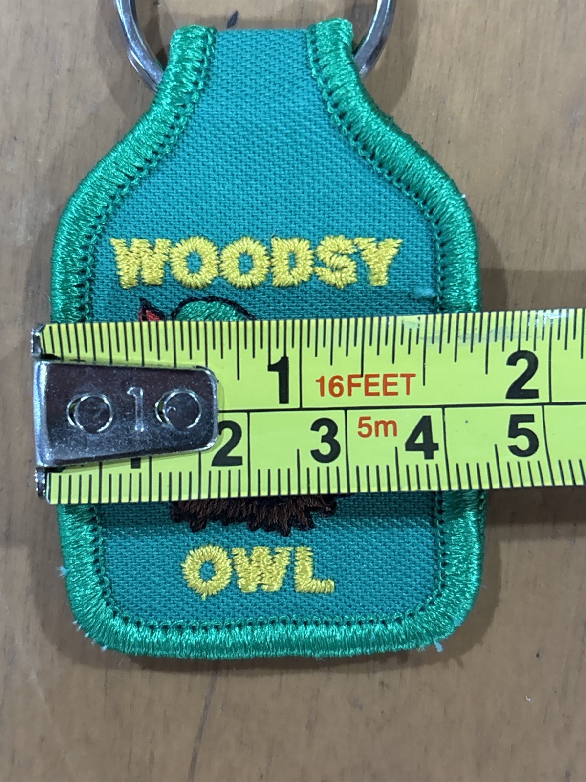 VINTAGE WOODSY OWL "Give a Hoot Don't Pollute" Keychain