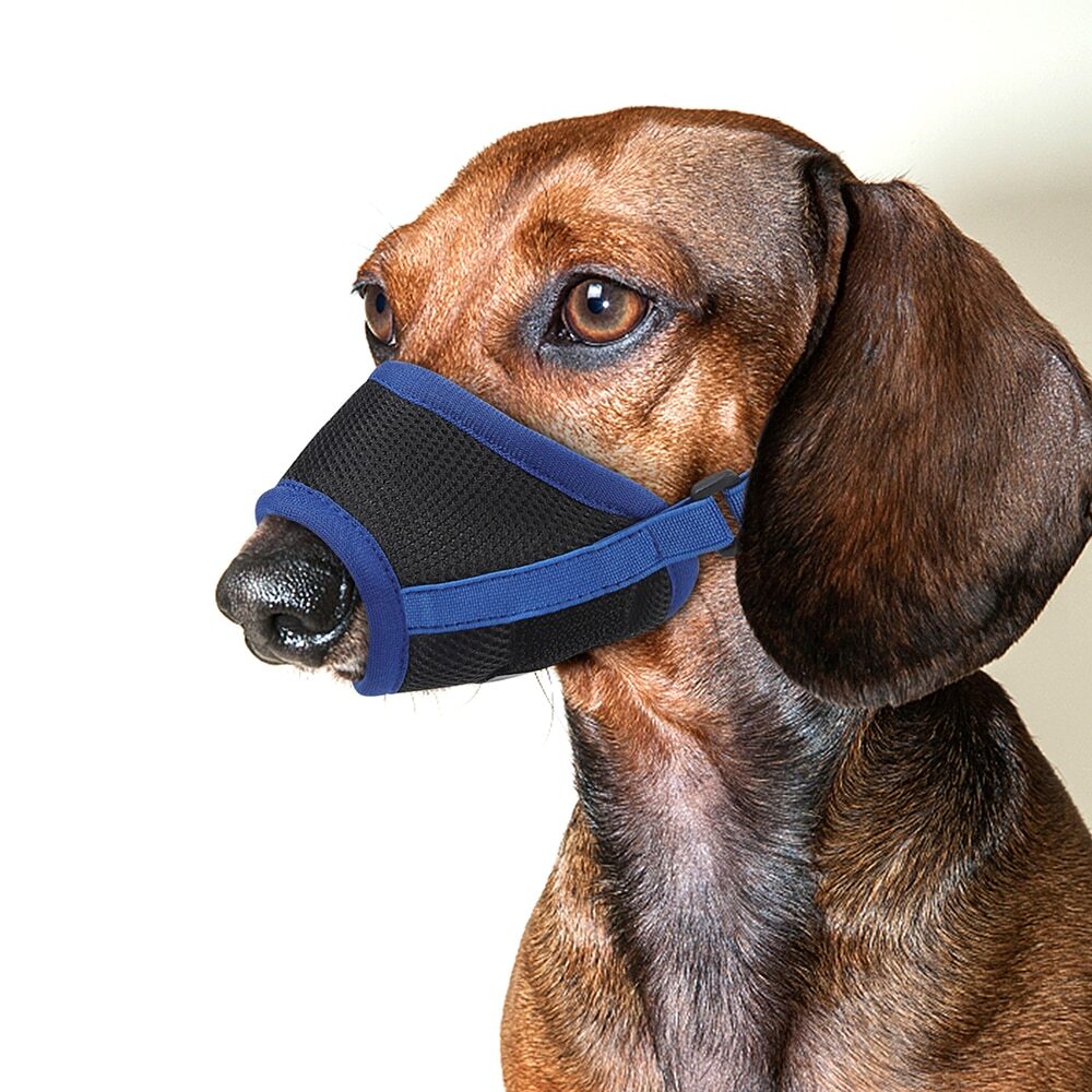 Dog Pet MESH MUZZLE Mouth Guard dual strap Anti Stop Bite bark Chew Breathable
