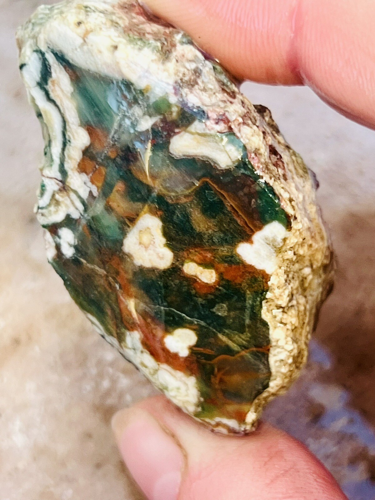 Large Flat Rate Bulk Old Stock Rough 1950's GemStone Mineral Lapidary Collection