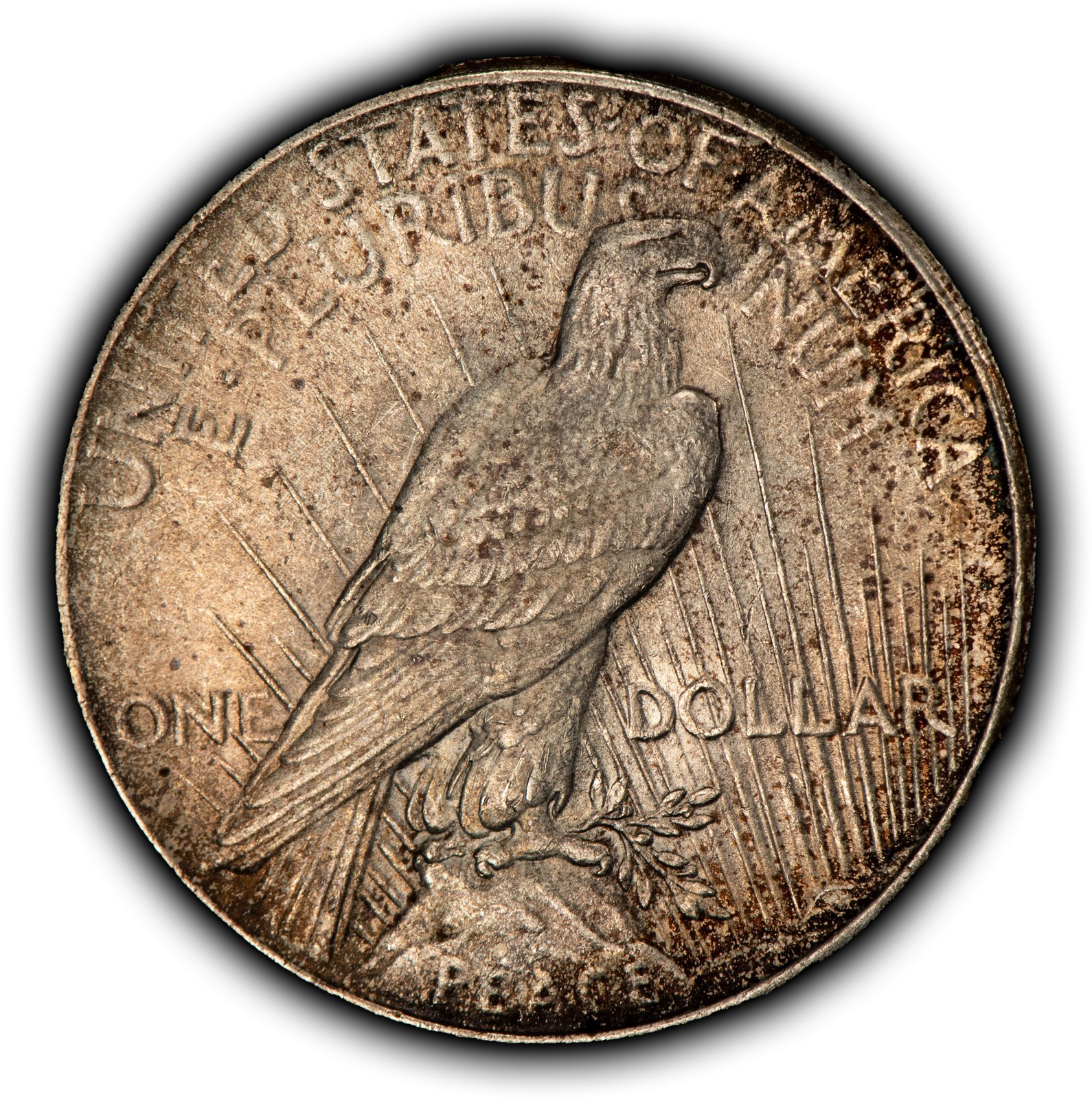 1925 $1 Silver Peace Dollar - PQ Neon Accent Toning - SKU-D7666