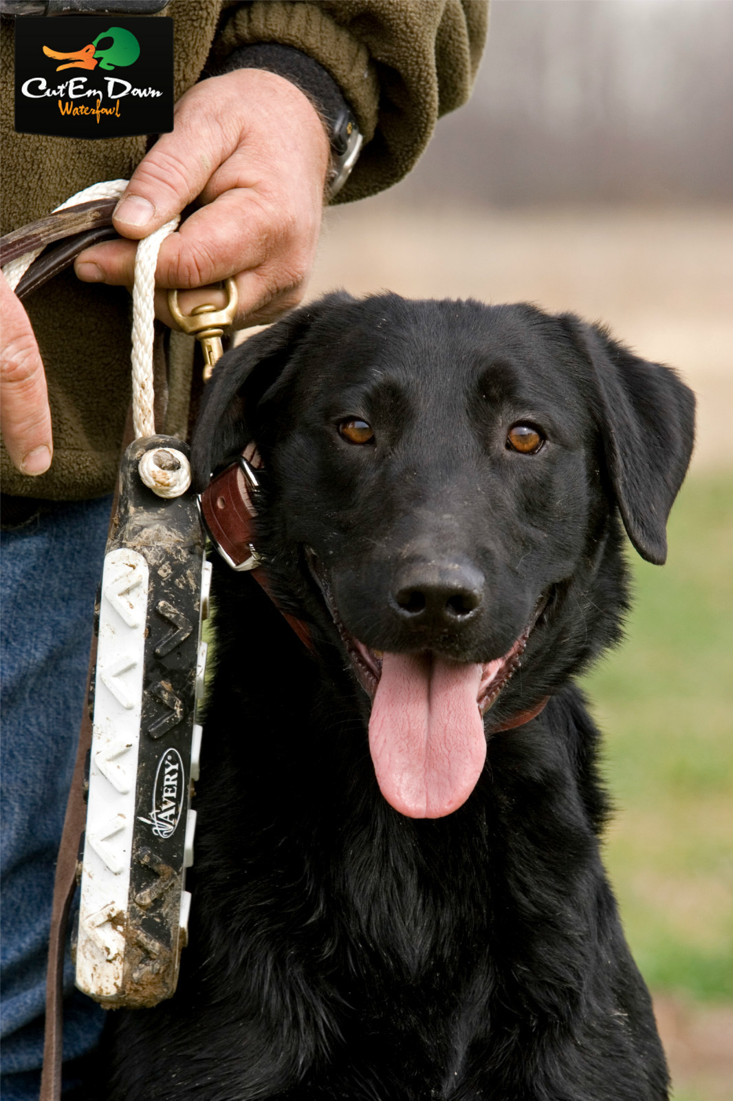 AVERY GREENHEAD GEAR GHG FLASHER HEXA BUMPER 6 PACK DOG TRAINING THROWING DUMMY