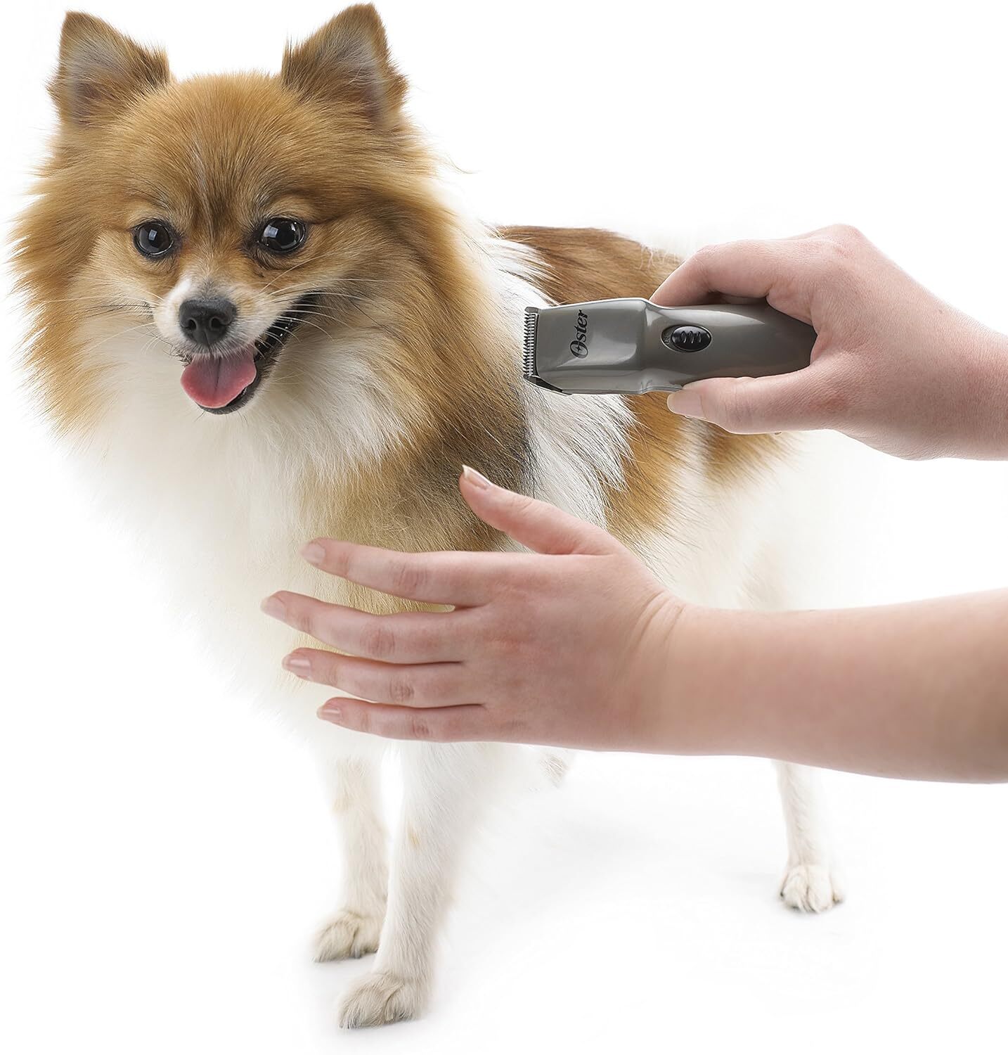 Oster Cordless Pocket Trimmer for Dog's Face, Ears, Paws and Sensitive Areas