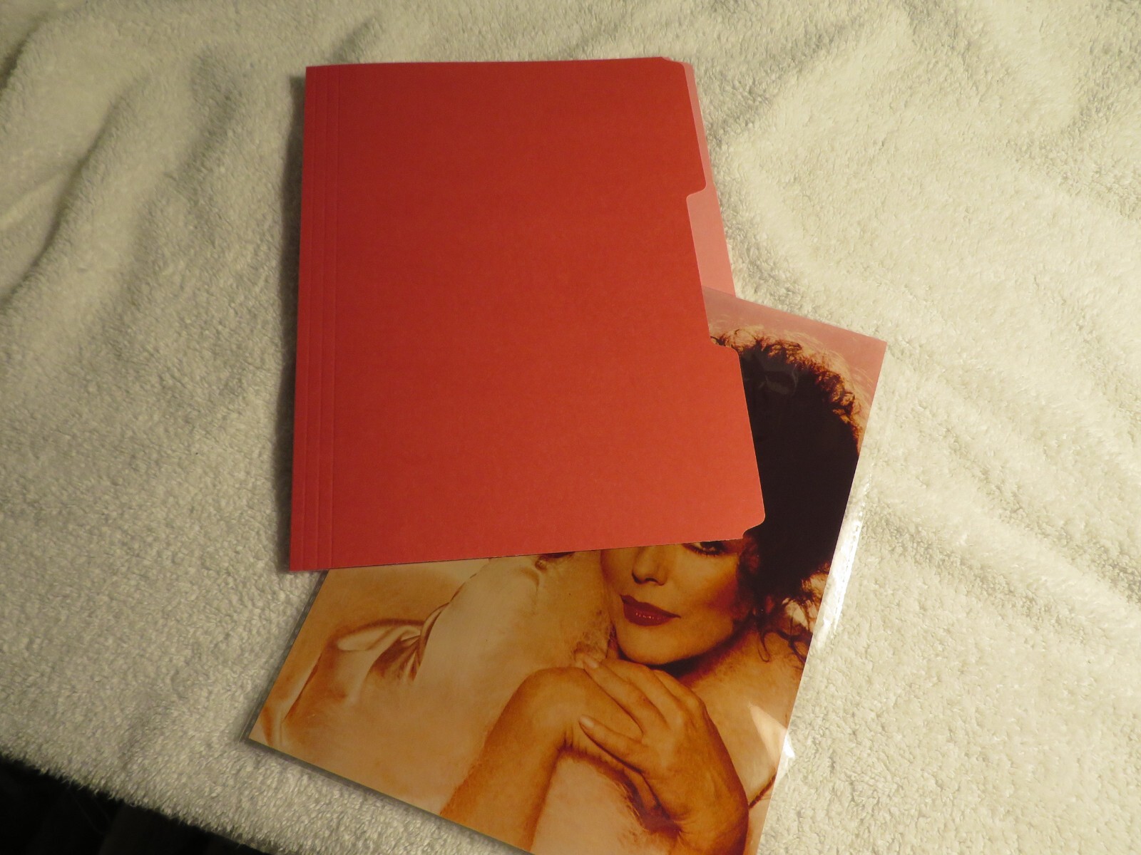 Poison's Brett Michaels and Band, Autographed