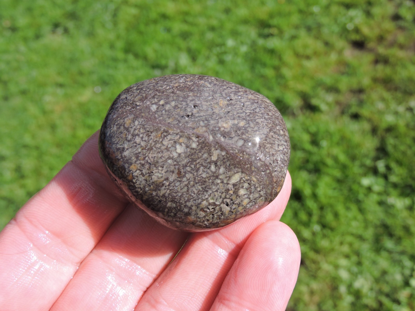 Lot of 🌈 Tumbler Size RAINBOW MIXED STONES from PNW (11.5 lbs) WEST COAST ROCKS