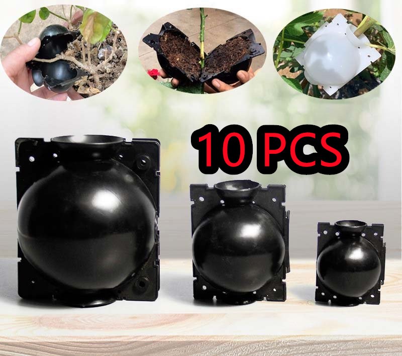 S ×10 Plant Rooting Devices Growing Grafting Box High Pressure Propagation Ball