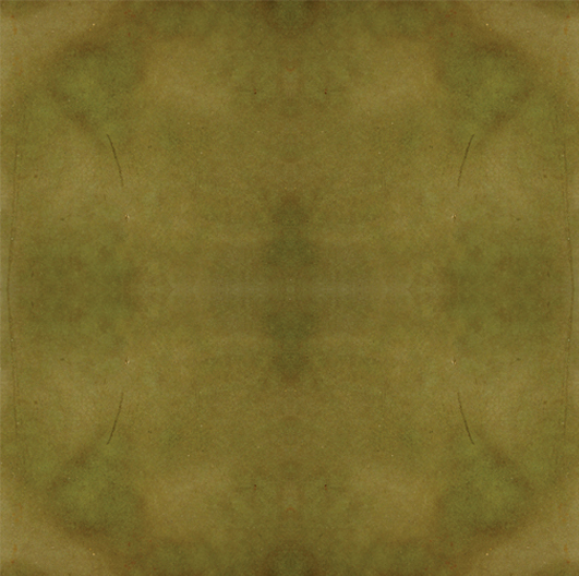 Engrave-A-Crete RAC (Acid) Concrete Stain-Sample Kit 16oz each