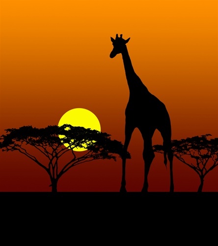 TANZANIA KILIMANJARO COFFEE BEANS PEABERRY MEDIUM ROASTED 5 POUNDS