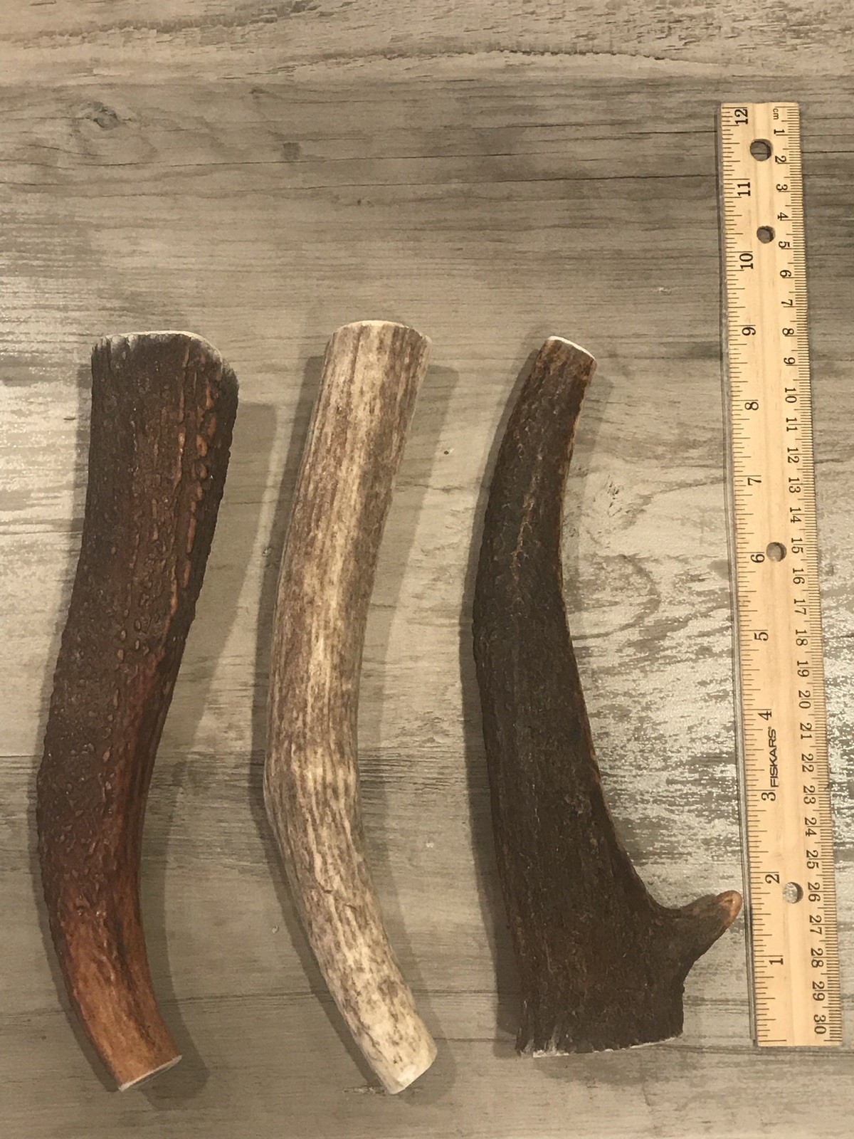 (3 PACK) X-LARGE Elk/Deer Antler Premium Dog Chews **OREGON ANTLER WORKS**