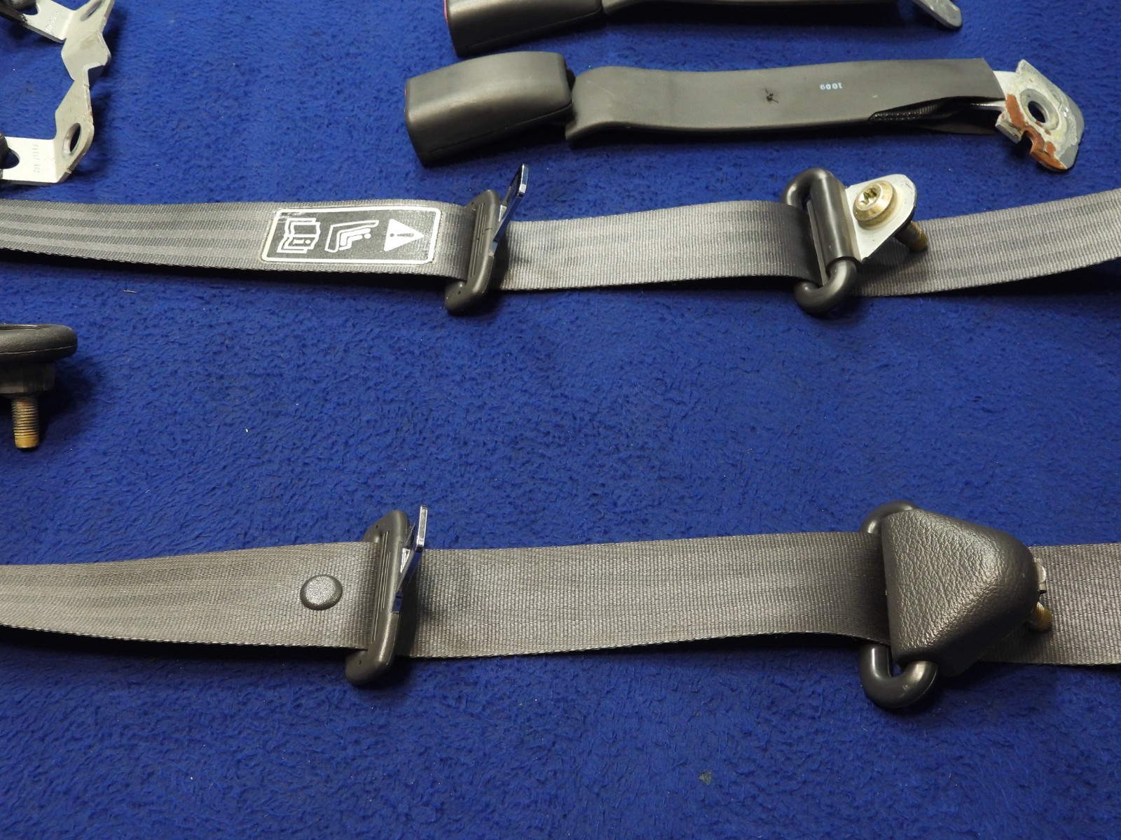 01 2001 Ford Mustang DK Charcoal Coupe Seatbelt Seatbelts OEM B64