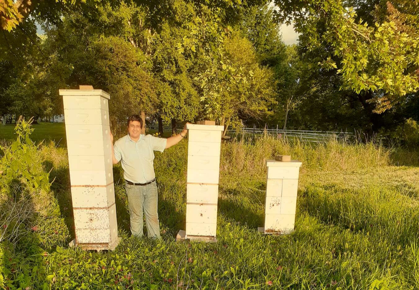 Raw Honey 2.5 lb (1.13kg) - 100% Raw, Wildflower, Local Organic, Unfiltered