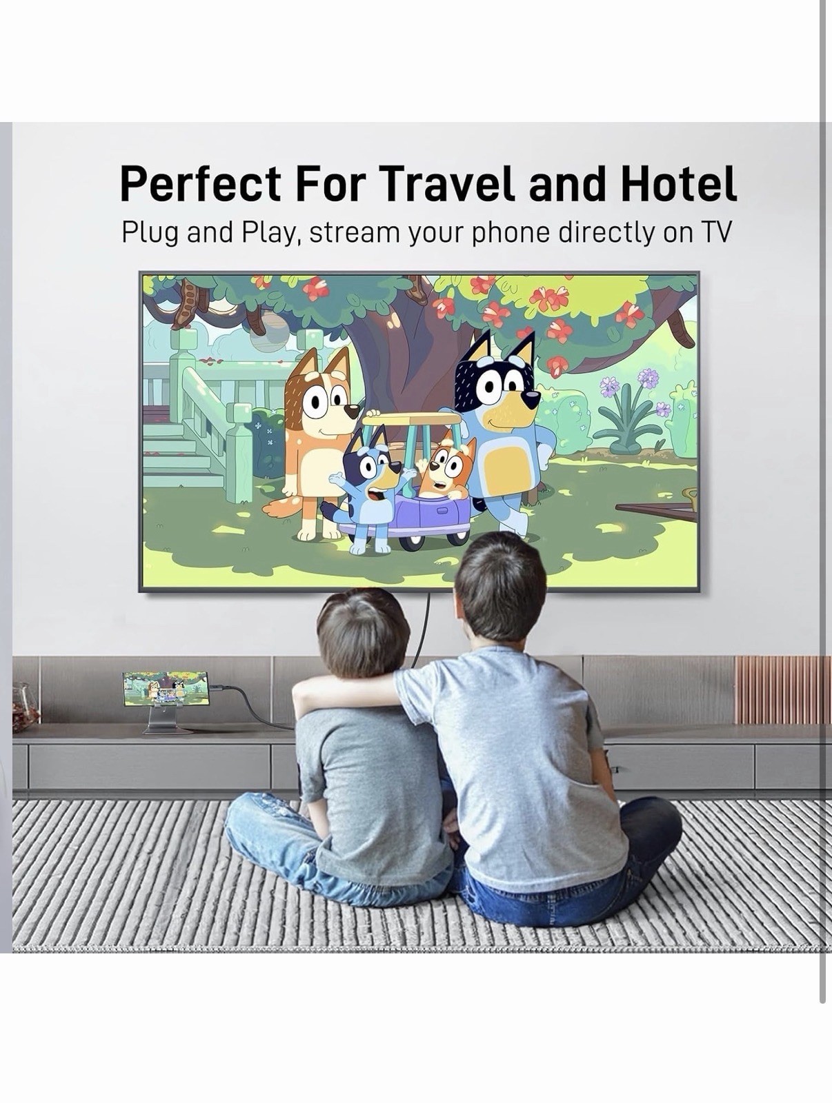 Acer USB C to Displayport Cable 6.6 FT (4K@60HZ 2K@165Hz), Type-C to Displayport