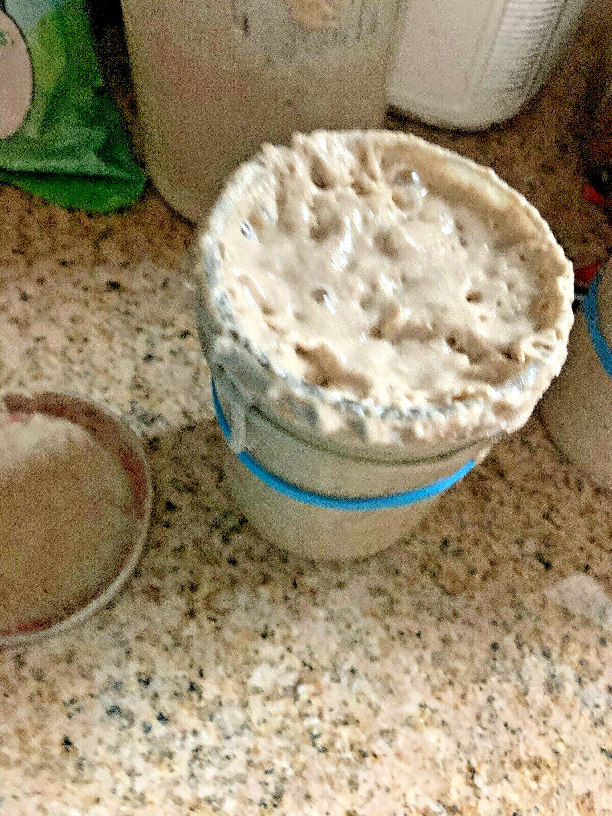 San Francisco SOURDOUGH STARTER WELL OVER 220 YRS OLD VERY STRONG VERY SOUR