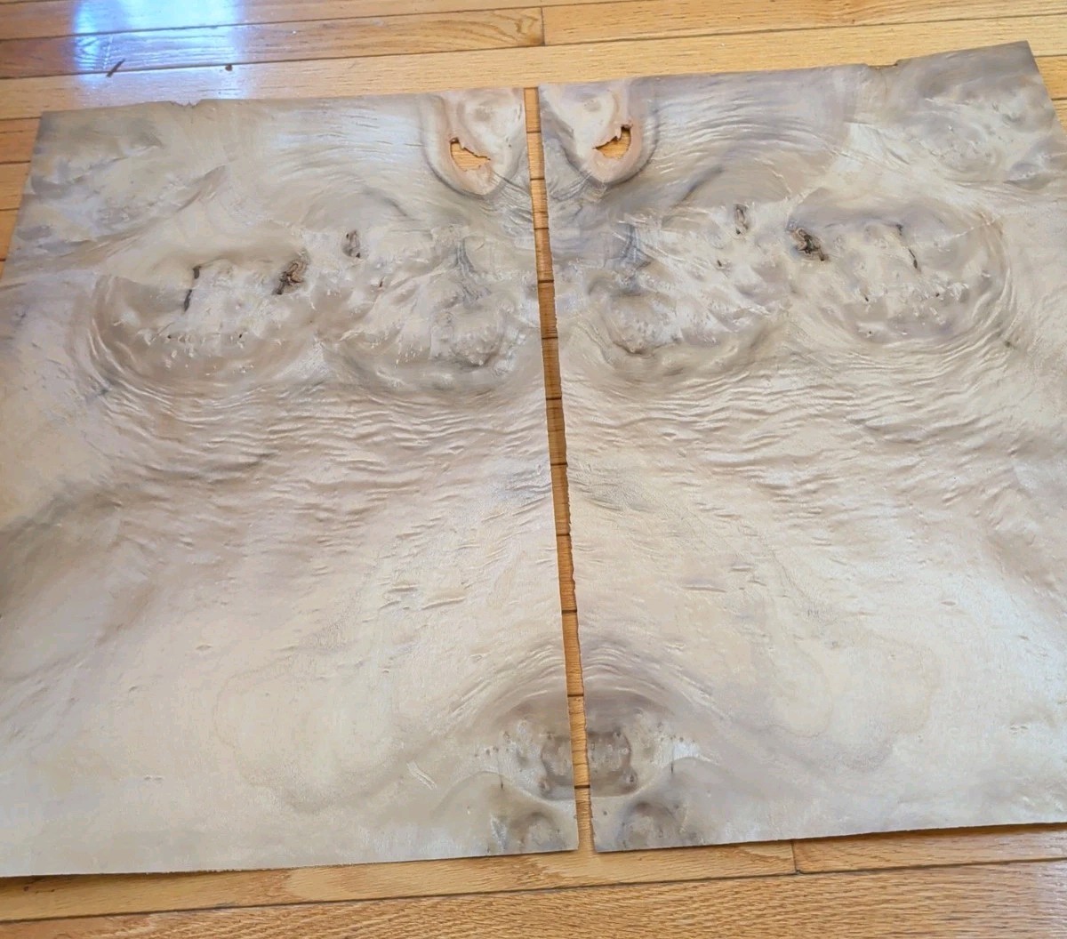 Myrtlewood veneer 26" x 16" guitar Luthier 1/42" wood flame burl holes