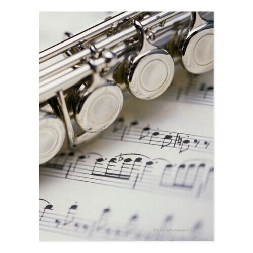 BRAND NEW PRO MARCHING BAND STUDENT/INTERMEDIATE SILVER CONCERT FLUTE-KEY OF C