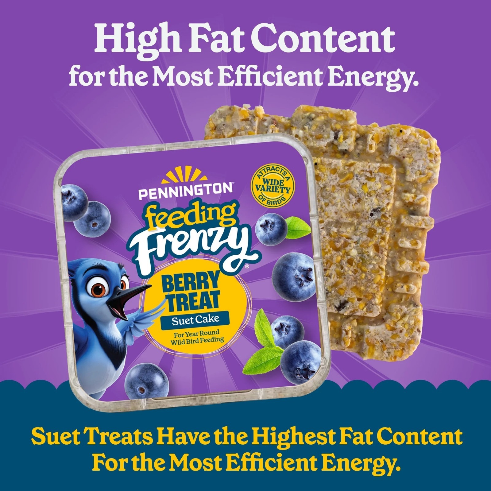 Pennington Feeding Frenzy Berry Treat Suet Cake for Wild Birds,11.75 oz, 16 Pack