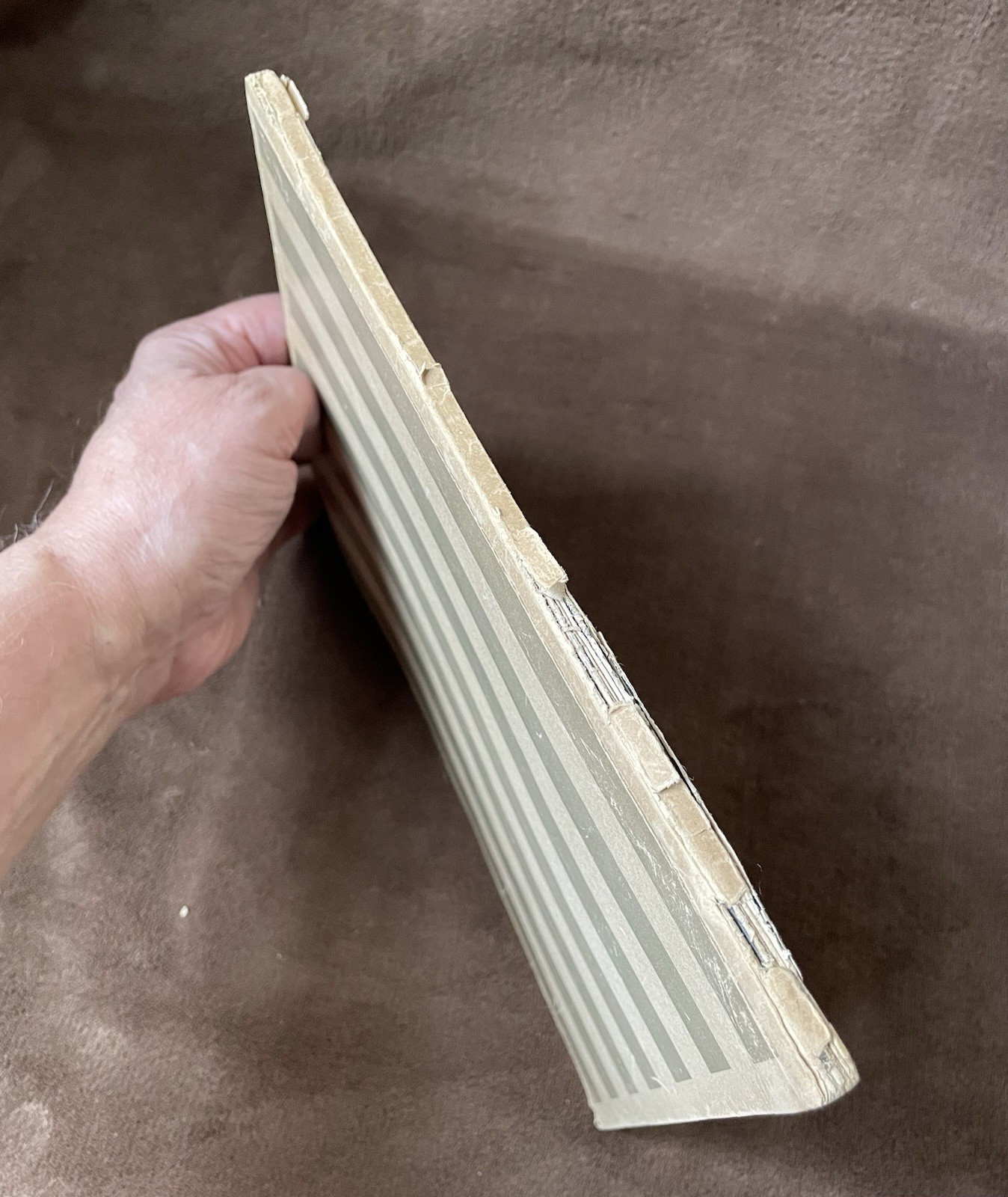 Original Heinrich Hoffman 1936 Berlin Olympics Photo Book - Nazi Party Leaders