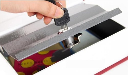 Bluedot Trading Dictionary Secret Book Hidden Safe with Key Lock