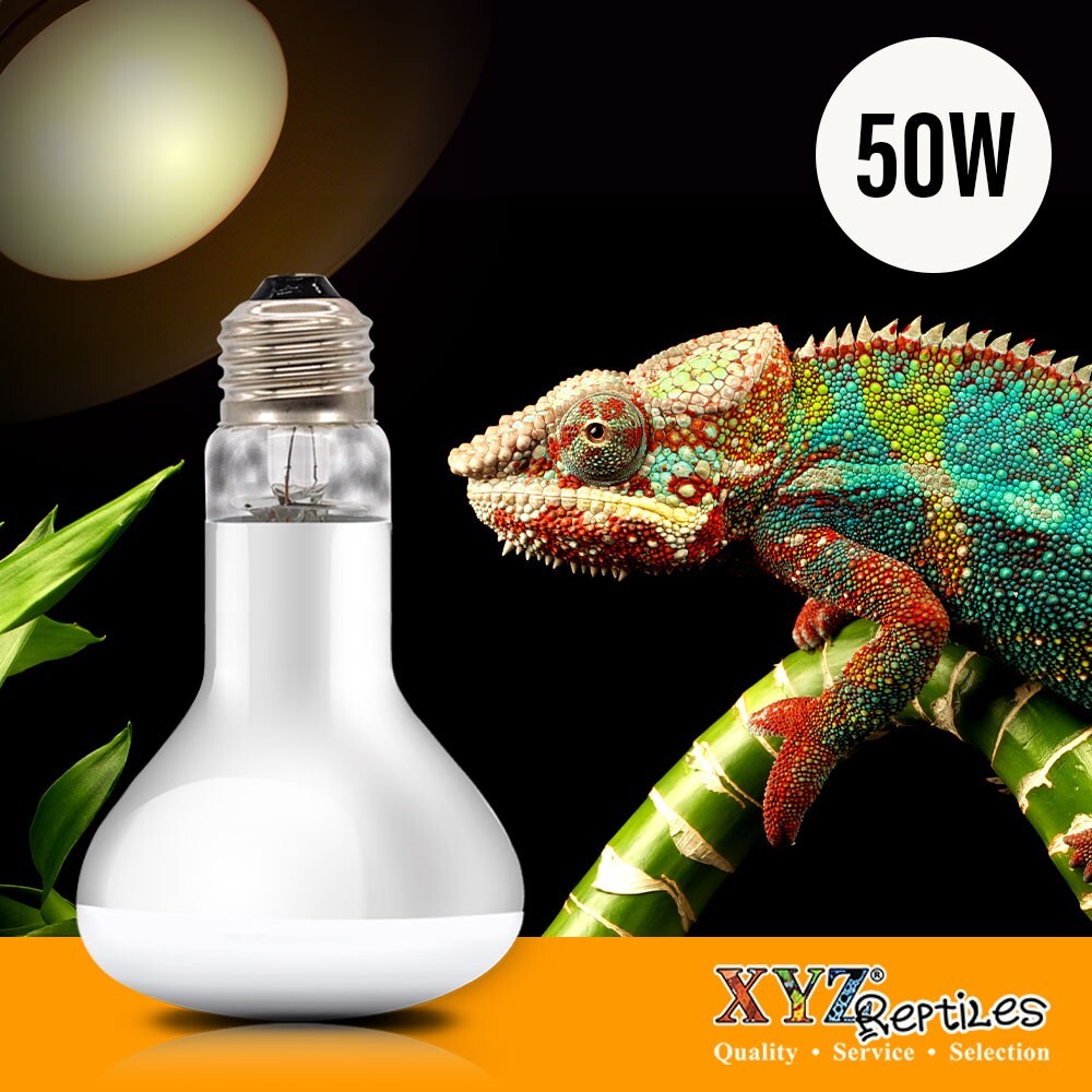 UVA Reptile Heat Lamp 50 Watt Bulb Basking Light XYZReptiles