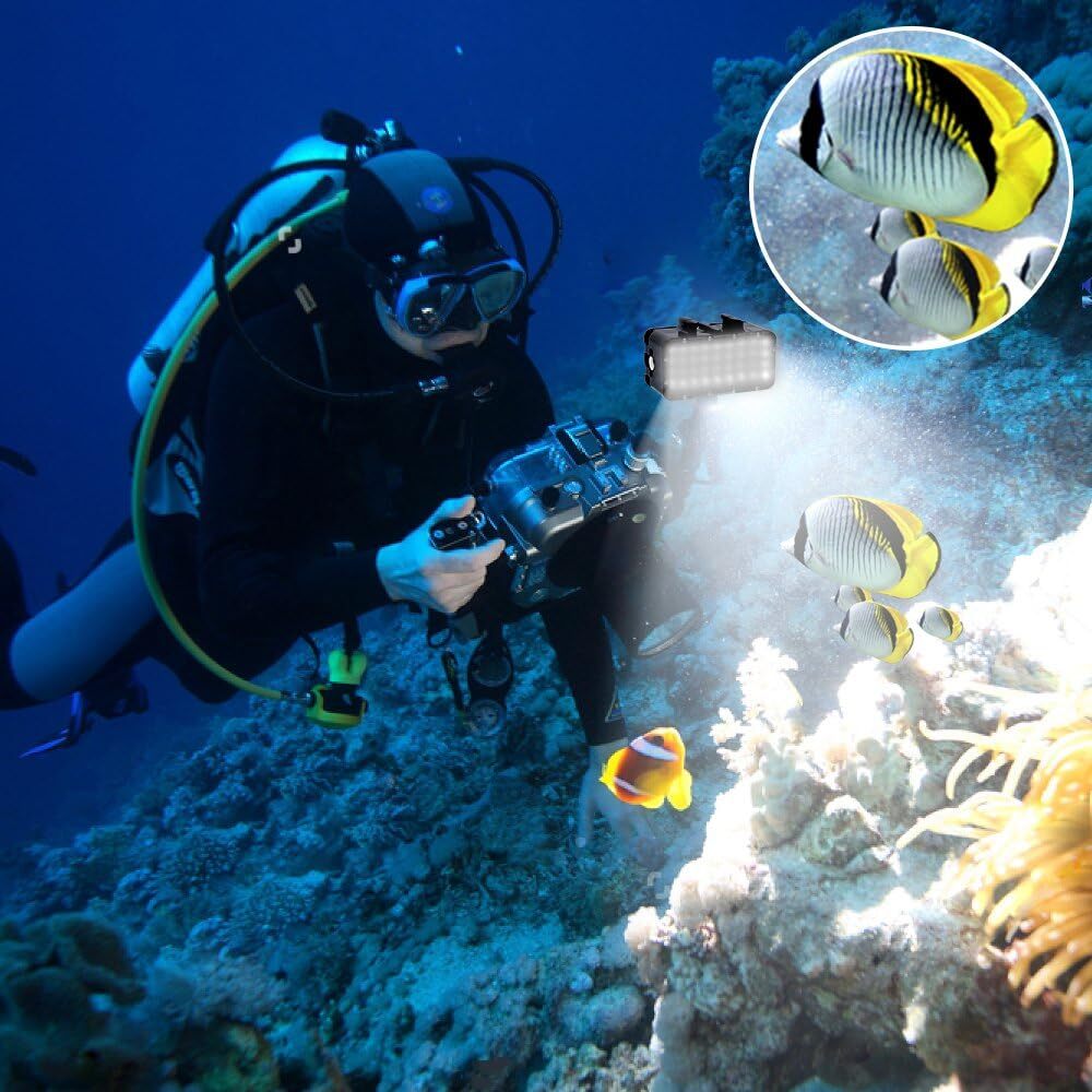 Luz De Buceo De Alta Potencia Regulable Resistente Al Agua Led Video Light F...