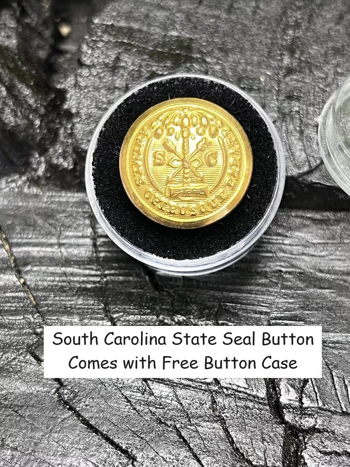 Old Rare Vintage Antique War Relic South Carolina Button Free Display Case