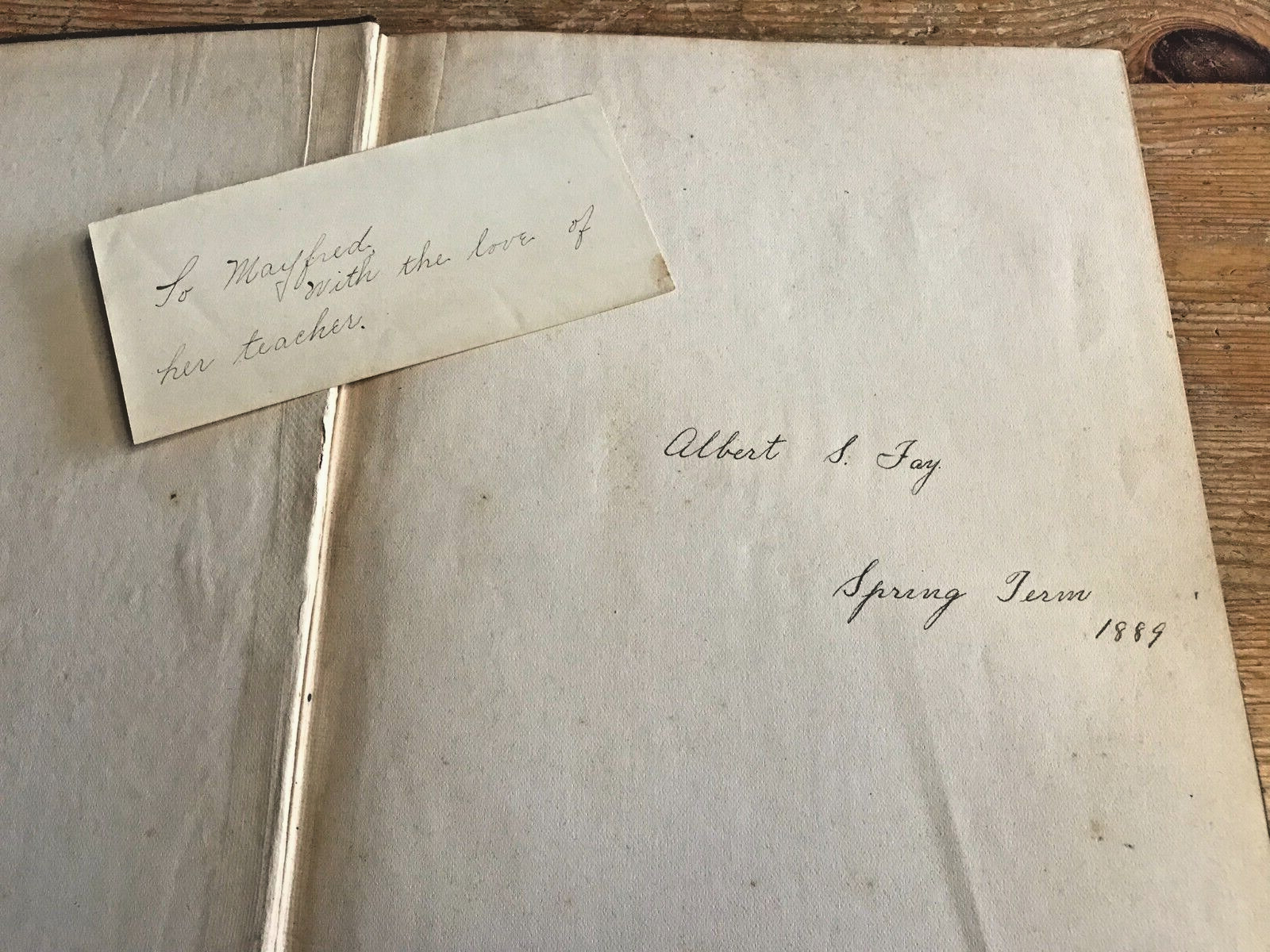 Antique Botanical Scrapbook 1889 Apgar's Analysis Pressed Plant Specimens Book