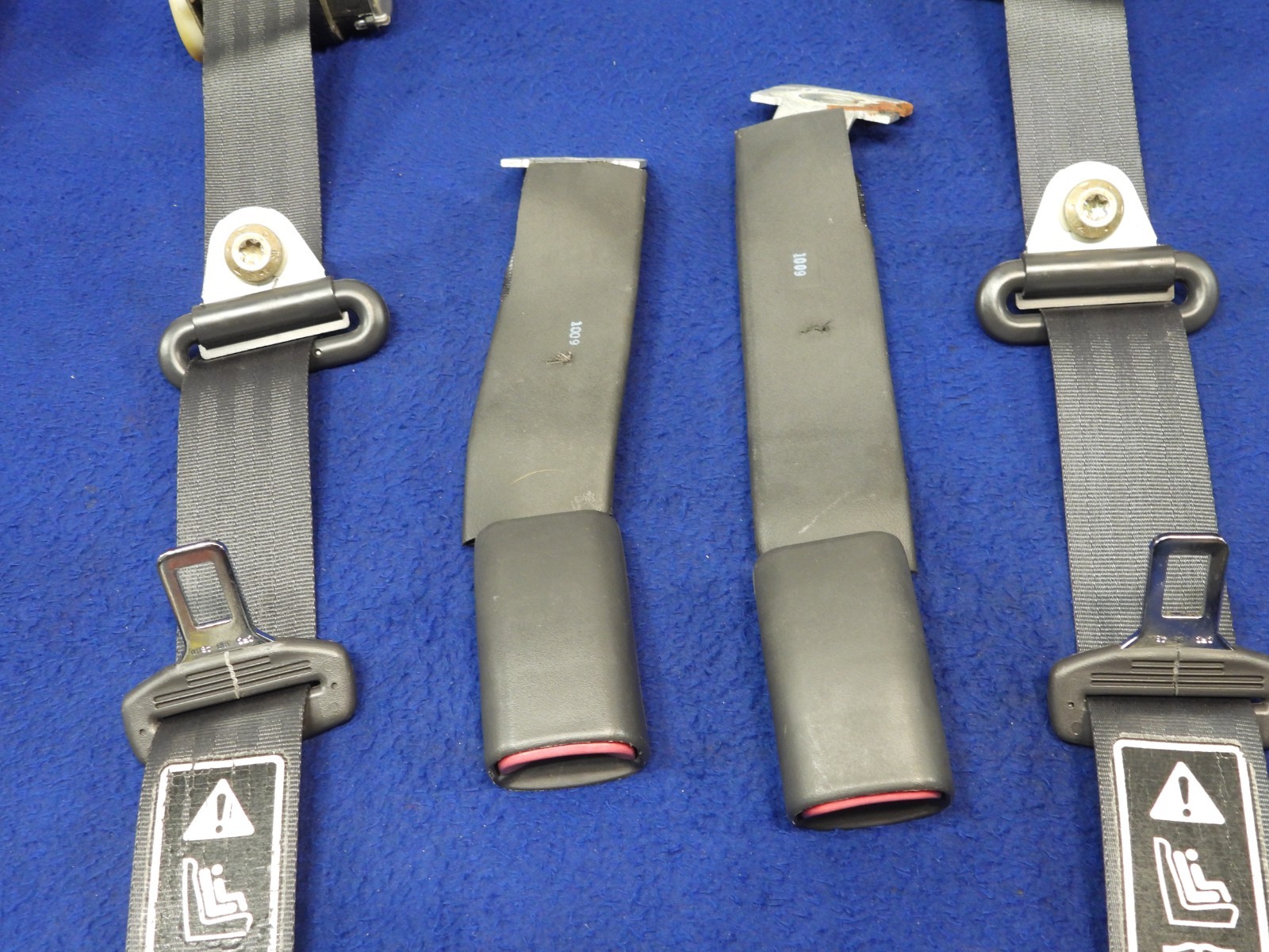 01 2001 Ford Mustang DK Charcoal Coupe Seatbelt Seatbelts OEM B64