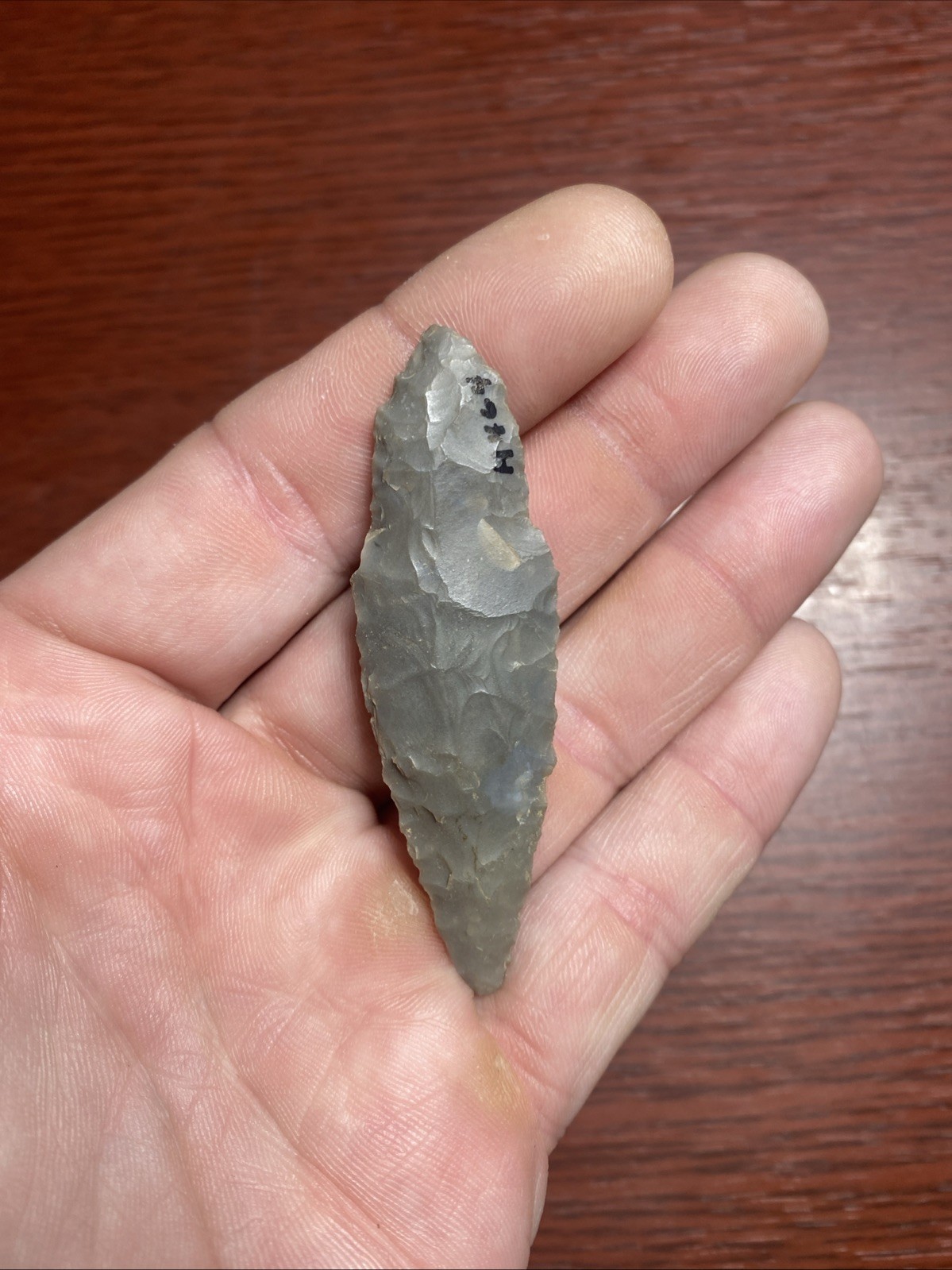 MLC s8264 2 5/8” Adena Turkeytail Arrowhead Ohio Stone Artifact