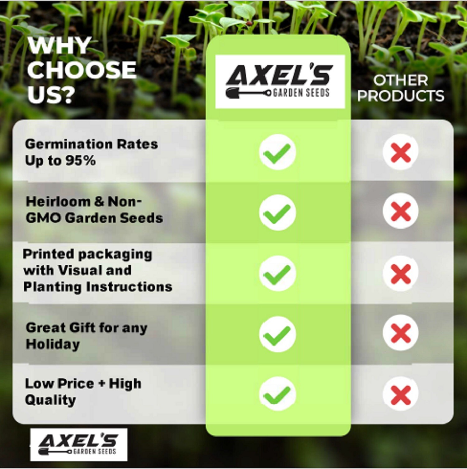 Giant Sunflower Seeds for Planting - Heirloom & Non-GMO - High Germination Seeds