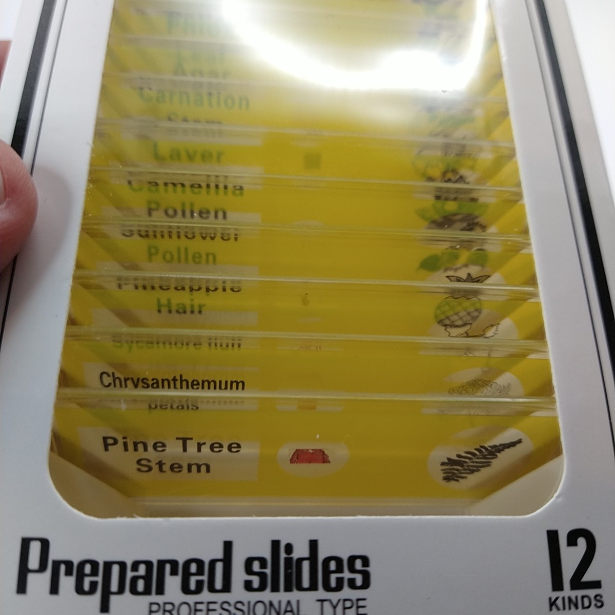 48Pcs Prepared Microscope Slides Specimen Animals Insects Plants Flowers Sample