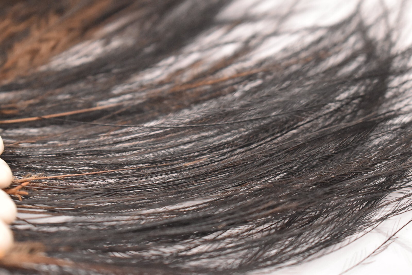 VINTAGE PAPUA NEW GUINEA ABELAM HEADDRESS WOVEN WITH COWRIE SHELL